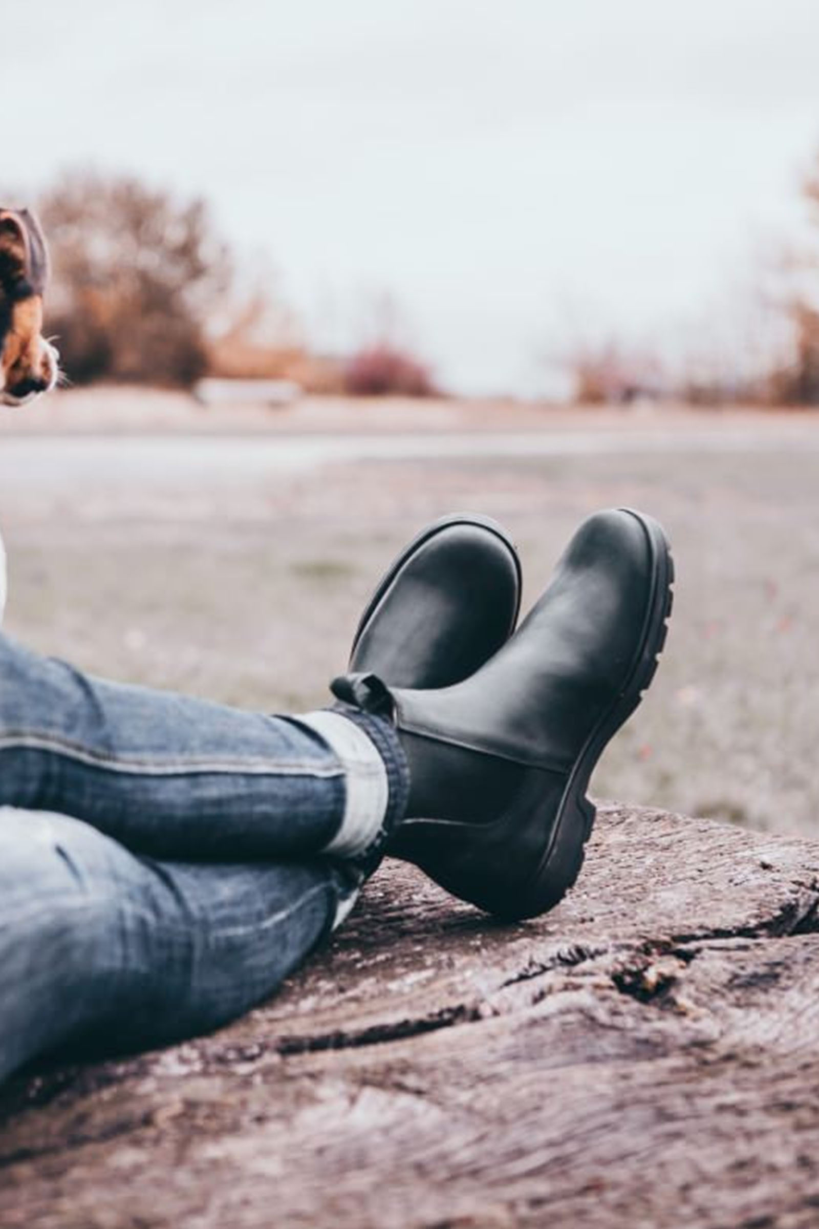 Suedwind Footwear 1888 Bottes Chelsea Jodhpur