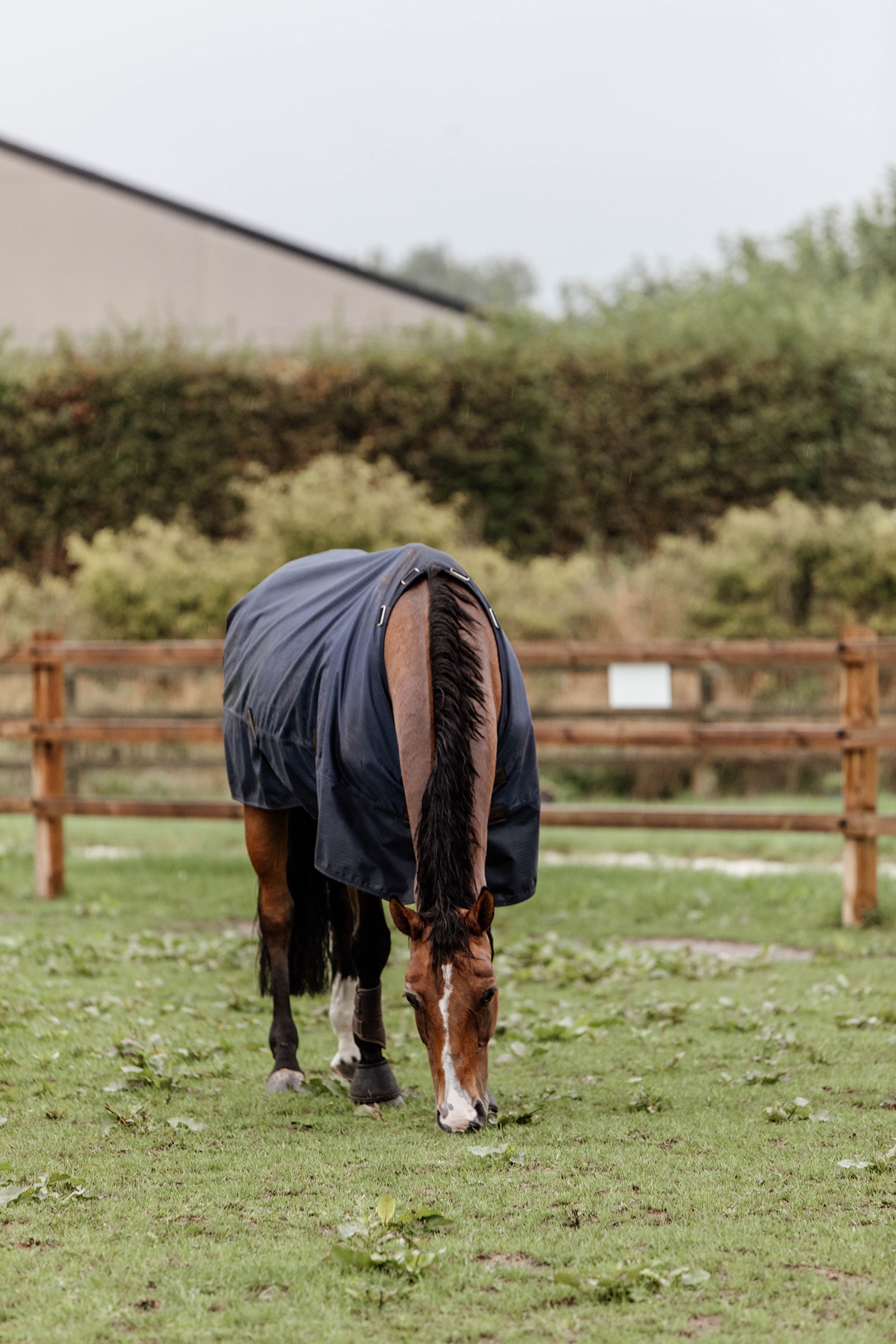 Couverture de Paddock Kentucky Horsewear 300gr
