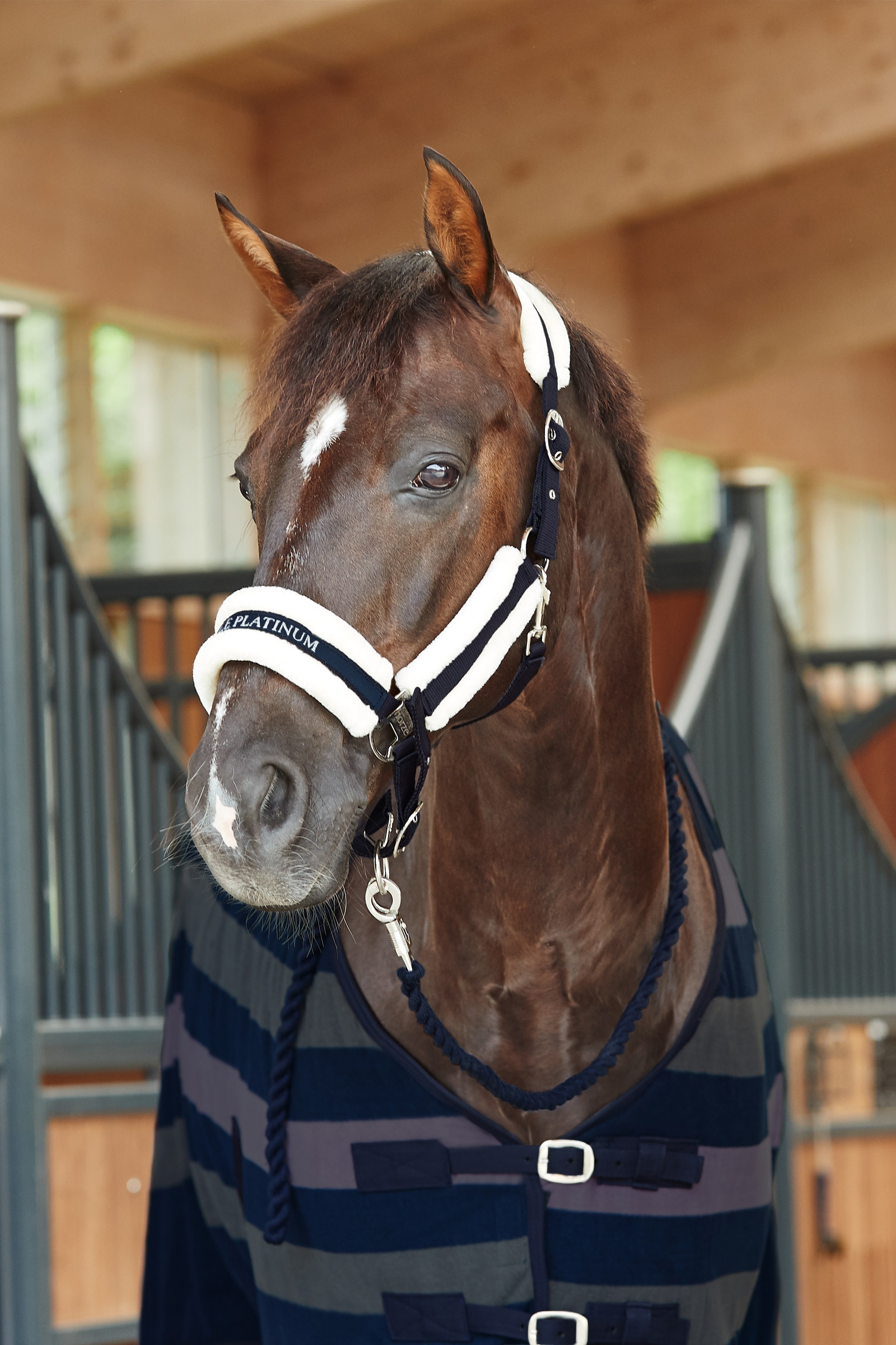 Licol Horze Stanford avec doublure fourrure