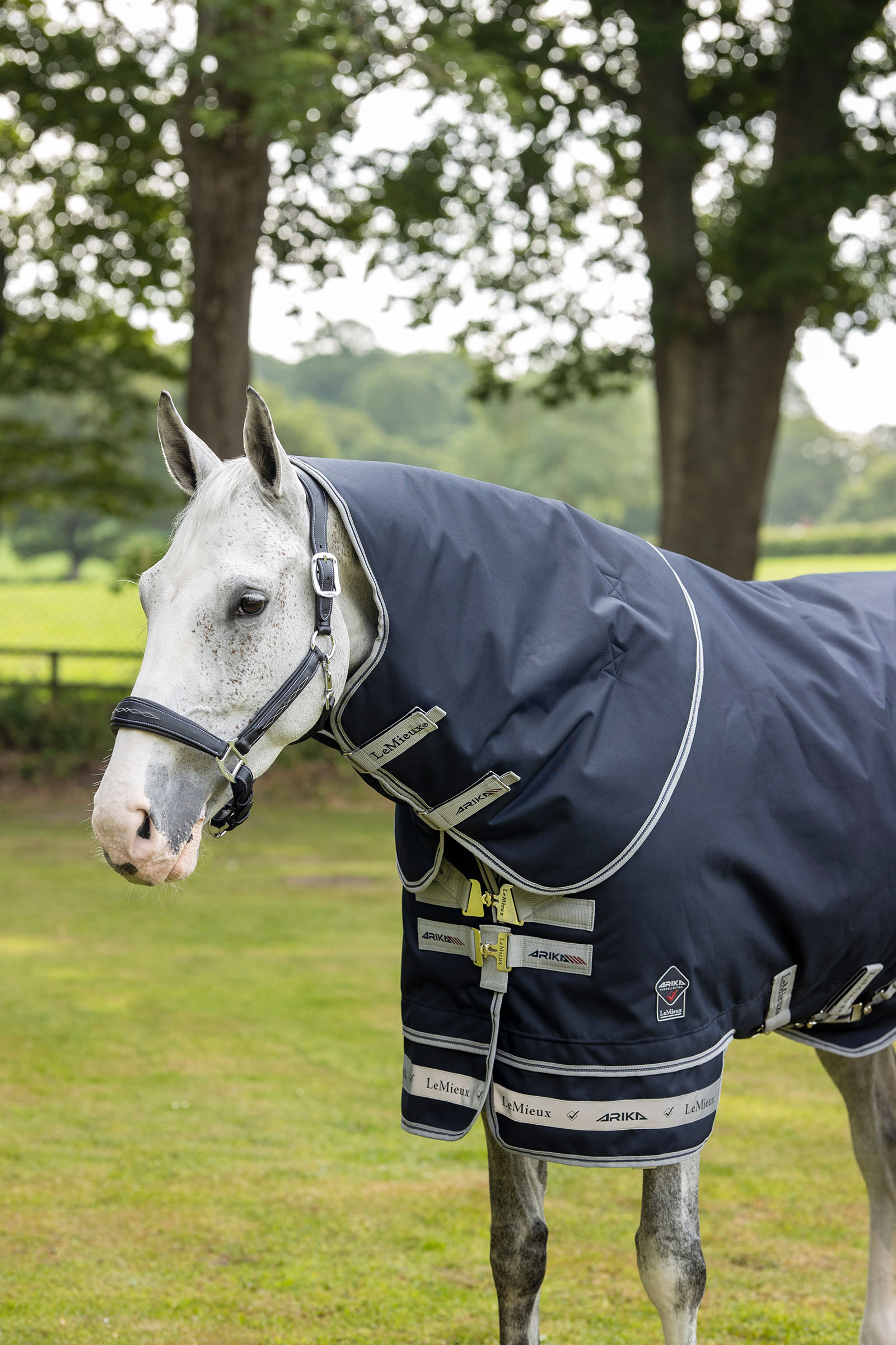LeMieux Arika couverture ultral&eacute;g&egrave;re 0g