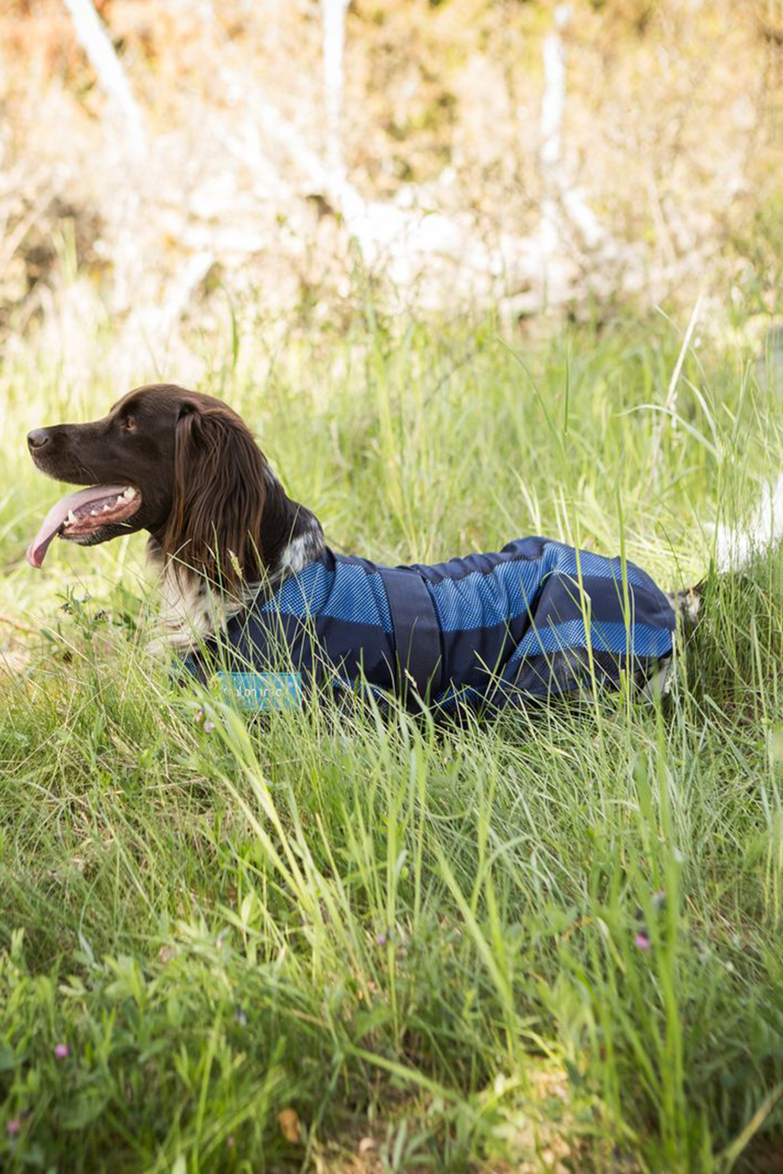 Back on Track Cool On Track manteau pour chien 2.0