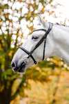 Horseware bridon cavesson