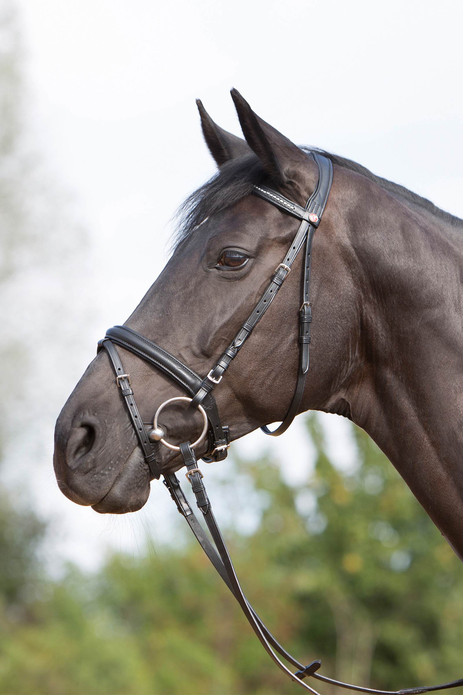 Kieffer Ultrasoft&reg; Bridle