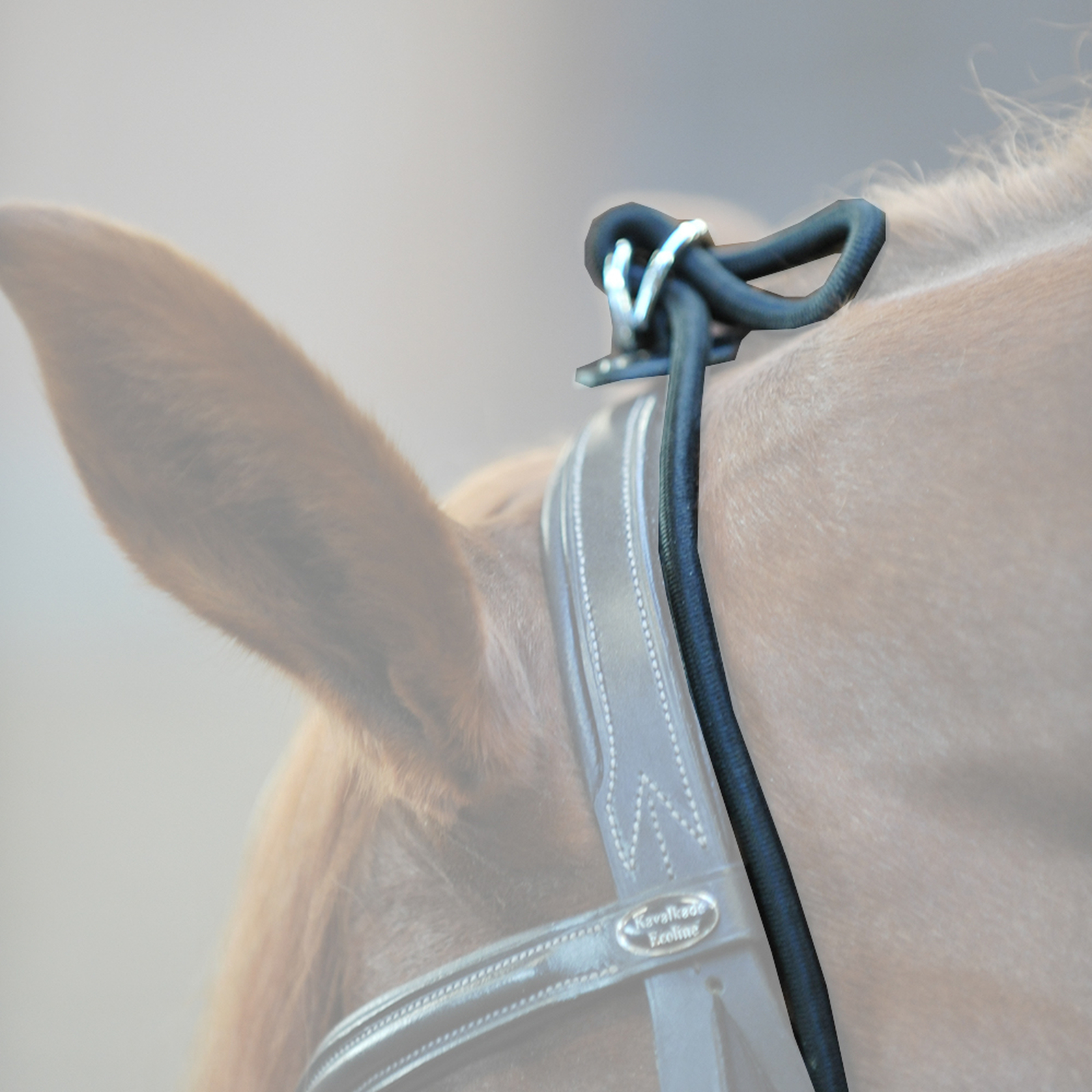 Enr&ecirc;nement &eacute;lastique "Bungee" Kavalkade