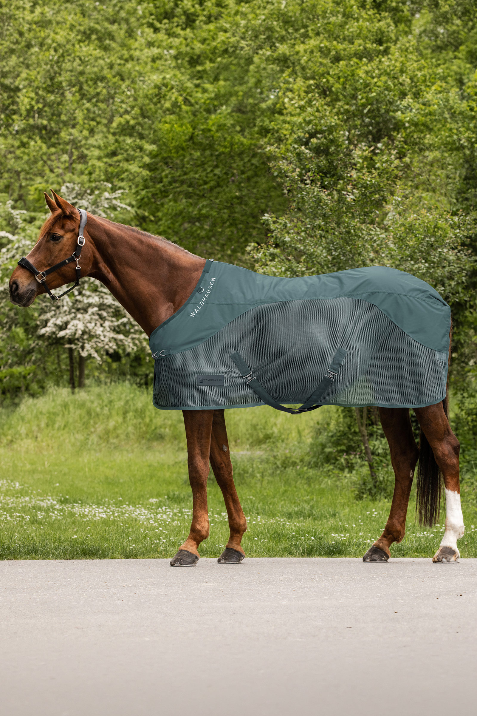 Pine Green Waldhausen Comfort couverture imperm&eacute;able anti-mouches