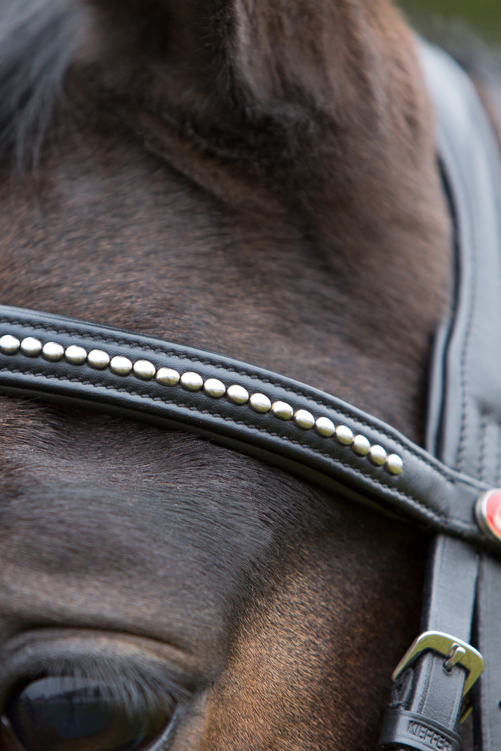 Kieffer Ultrasoft® Bridle