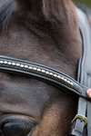 Kieffer Ultrasoft® Bridle