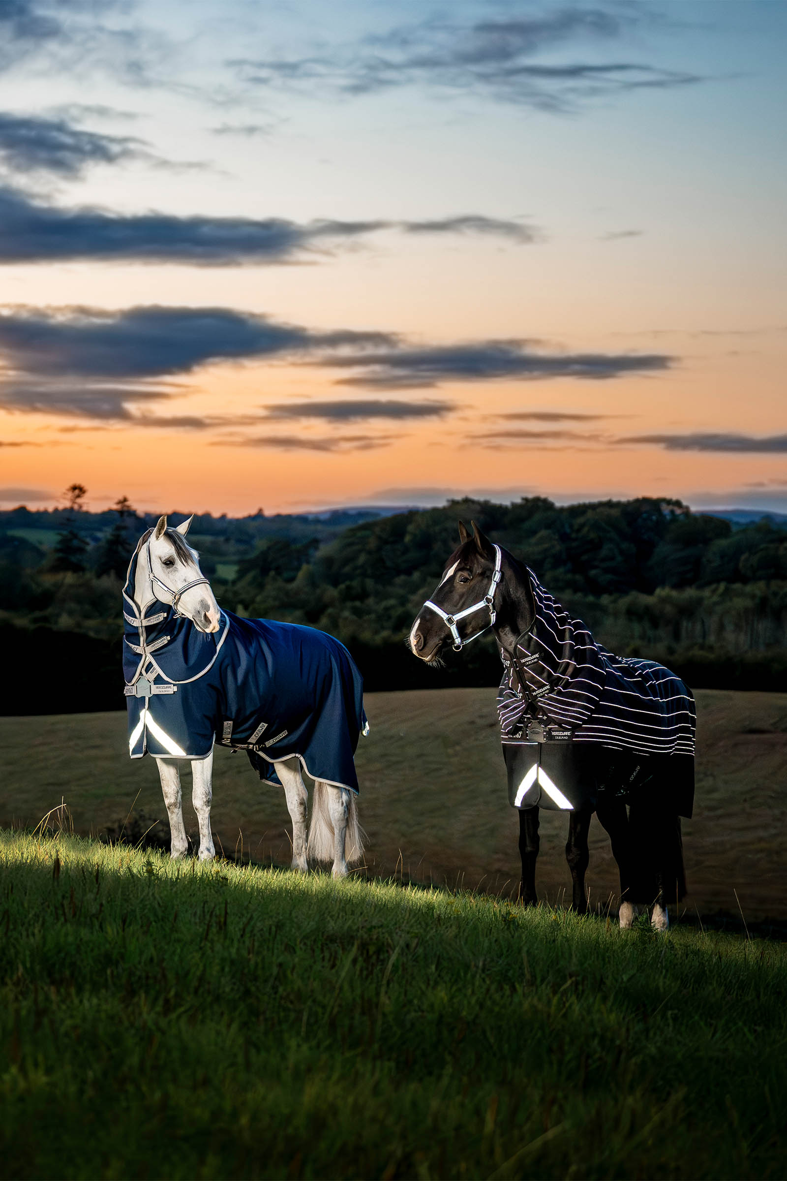 Horseware Amigo 1200D FieldSafe Plus couverture d’extérieur, 100 g