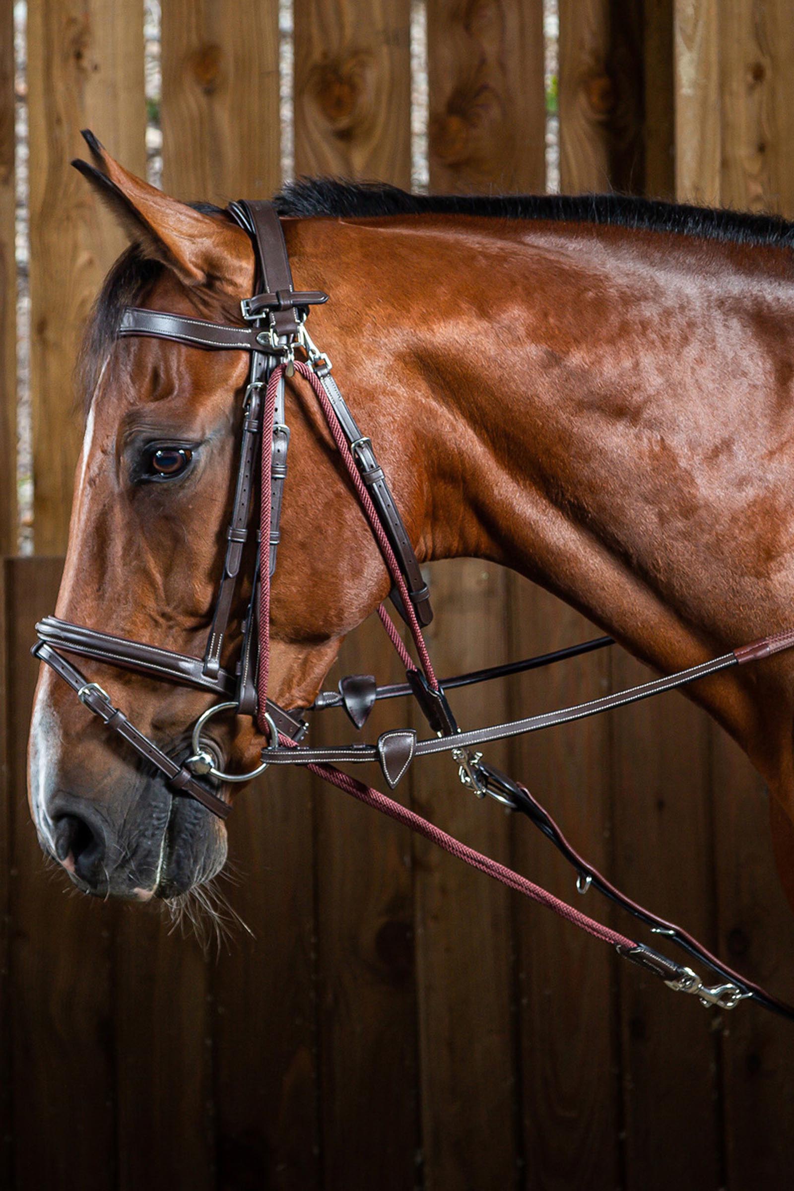 Dy'on Working gogue avec cordes nylon  