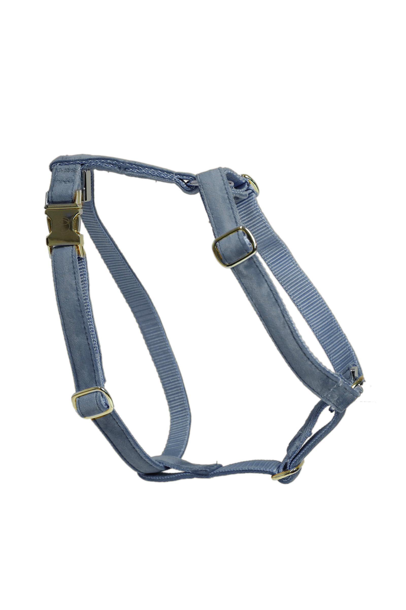 harnais pour chien velours loop Kentucky Dogwear