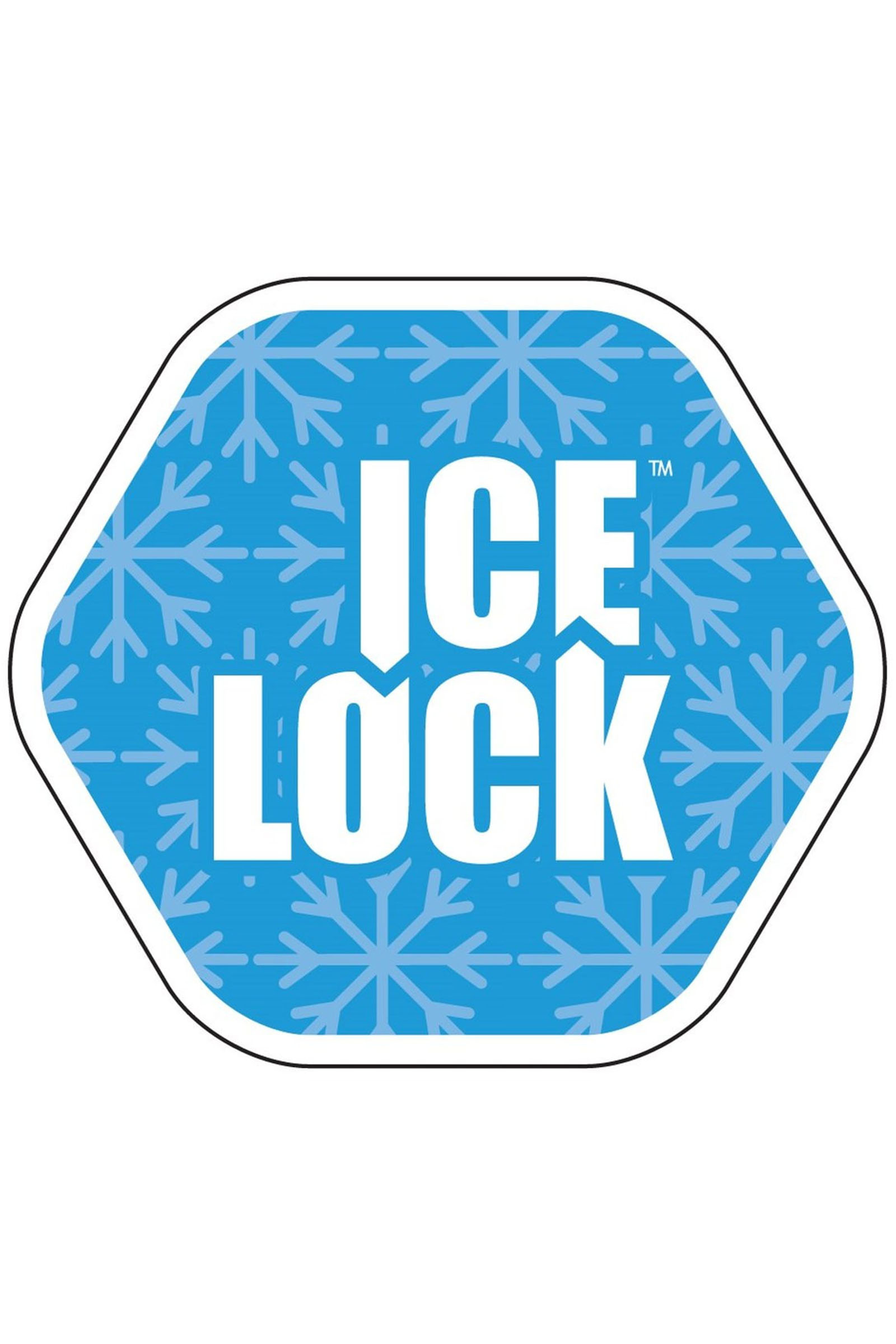 Bottines Jodhpur Suedwind Footwear IceLock FZ