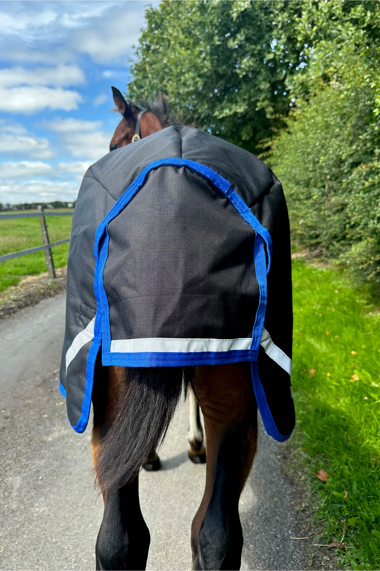 Horseware Amigo Ripstop 900D couverture d'extérieur pour poulain 50g