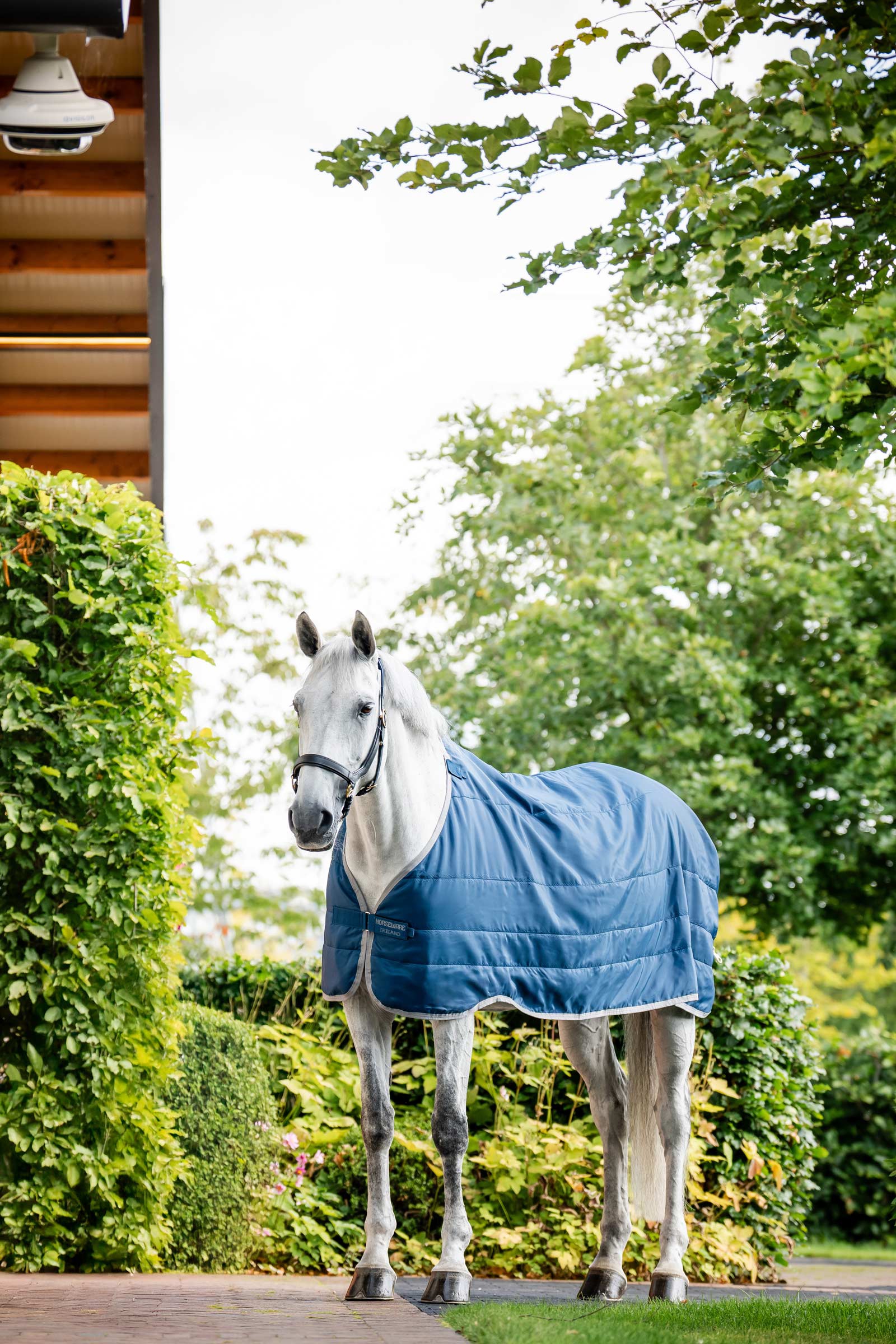 Horseware Ionic Therapy Doublure 50g