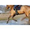 Tapis Absorb Kentucky Horsewear