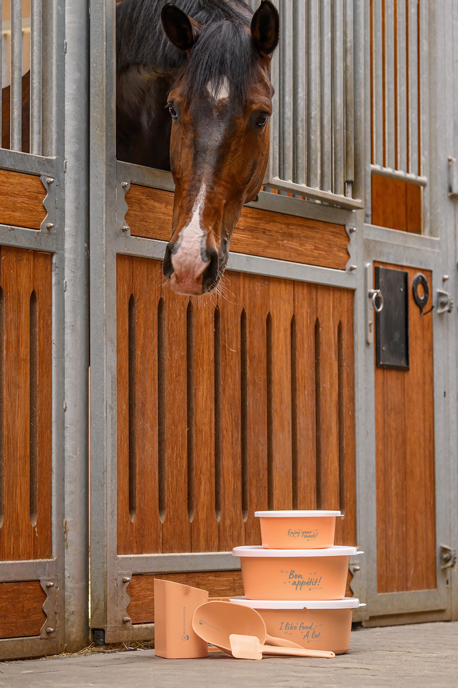 Waldhausen pelle &agrave; nourriture (2L)