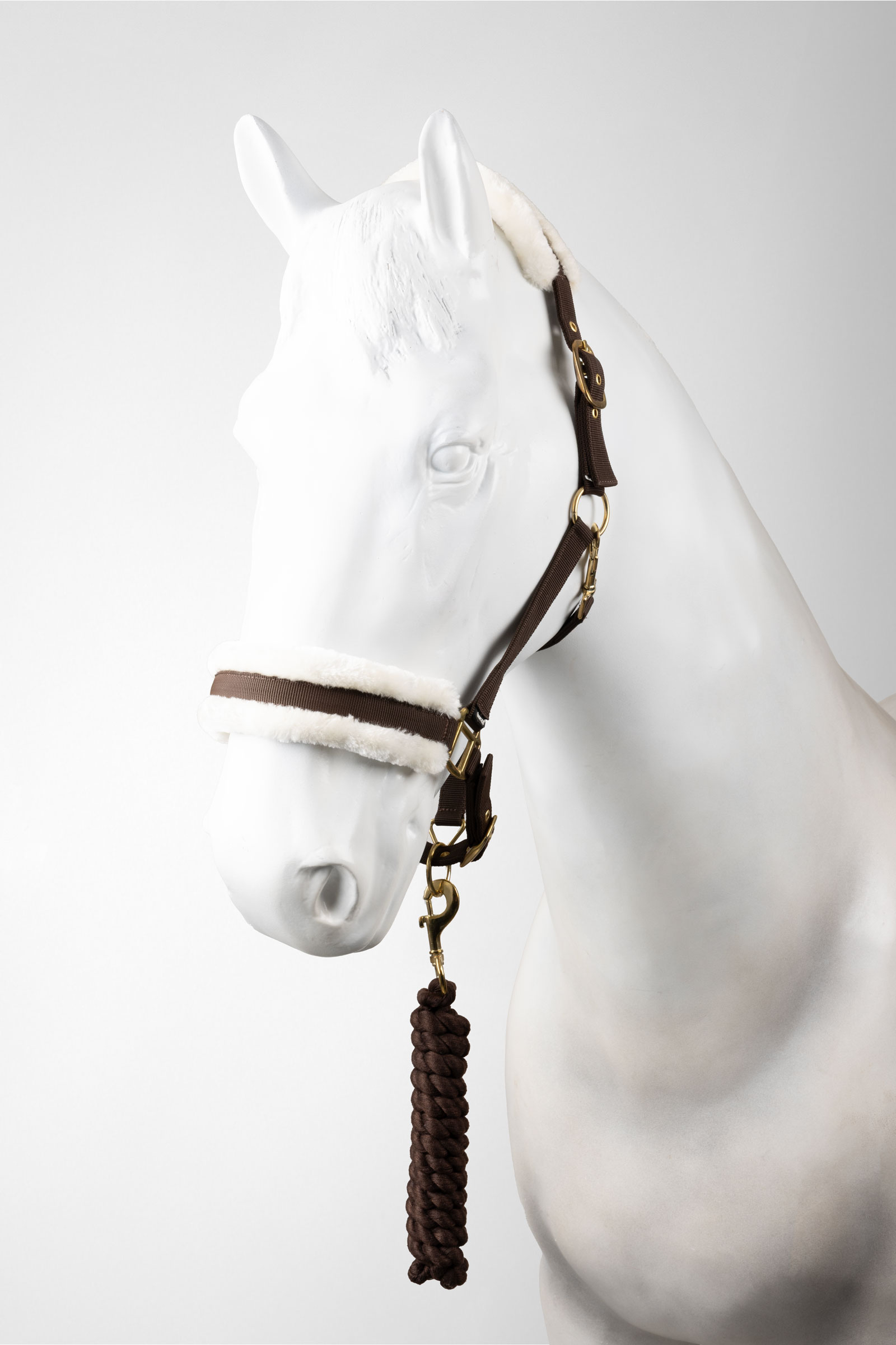 Horze licol et longe ensemble