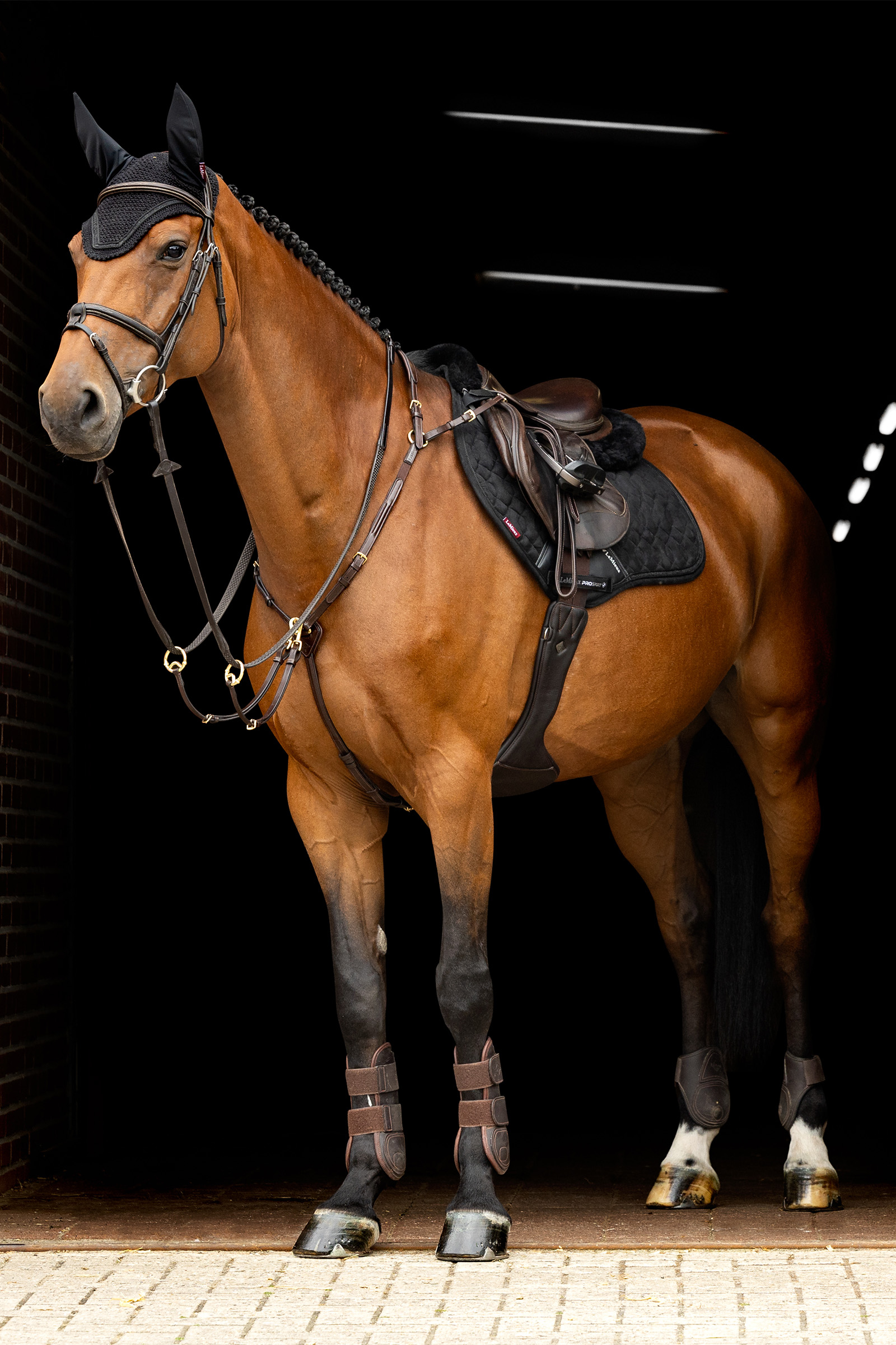 Bonnet anti-mouches LeMieux Cristaux