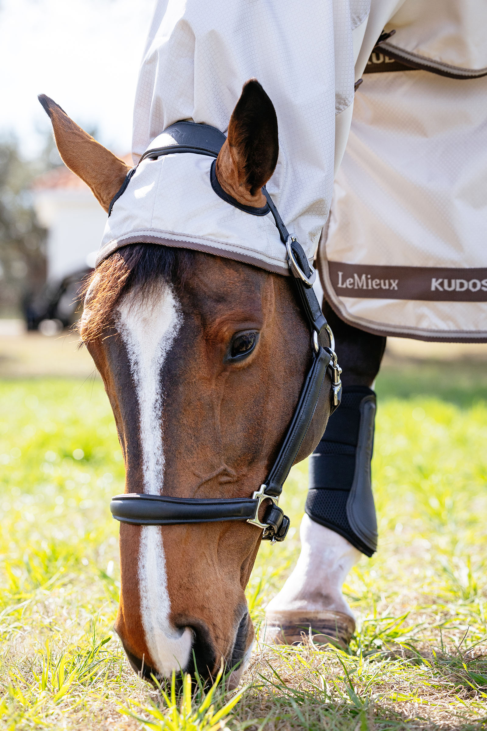 LeMieux Kudos Shower Pro couverture anti-dermite avec encolure amovible