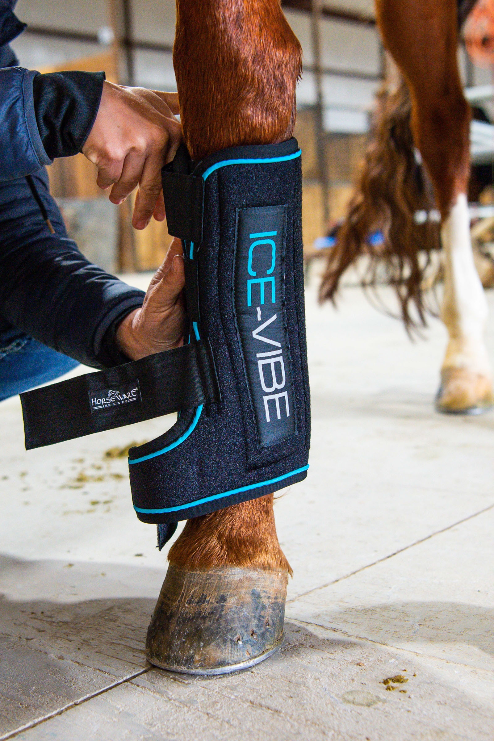 Guêtres Horseware Ice-Vibe