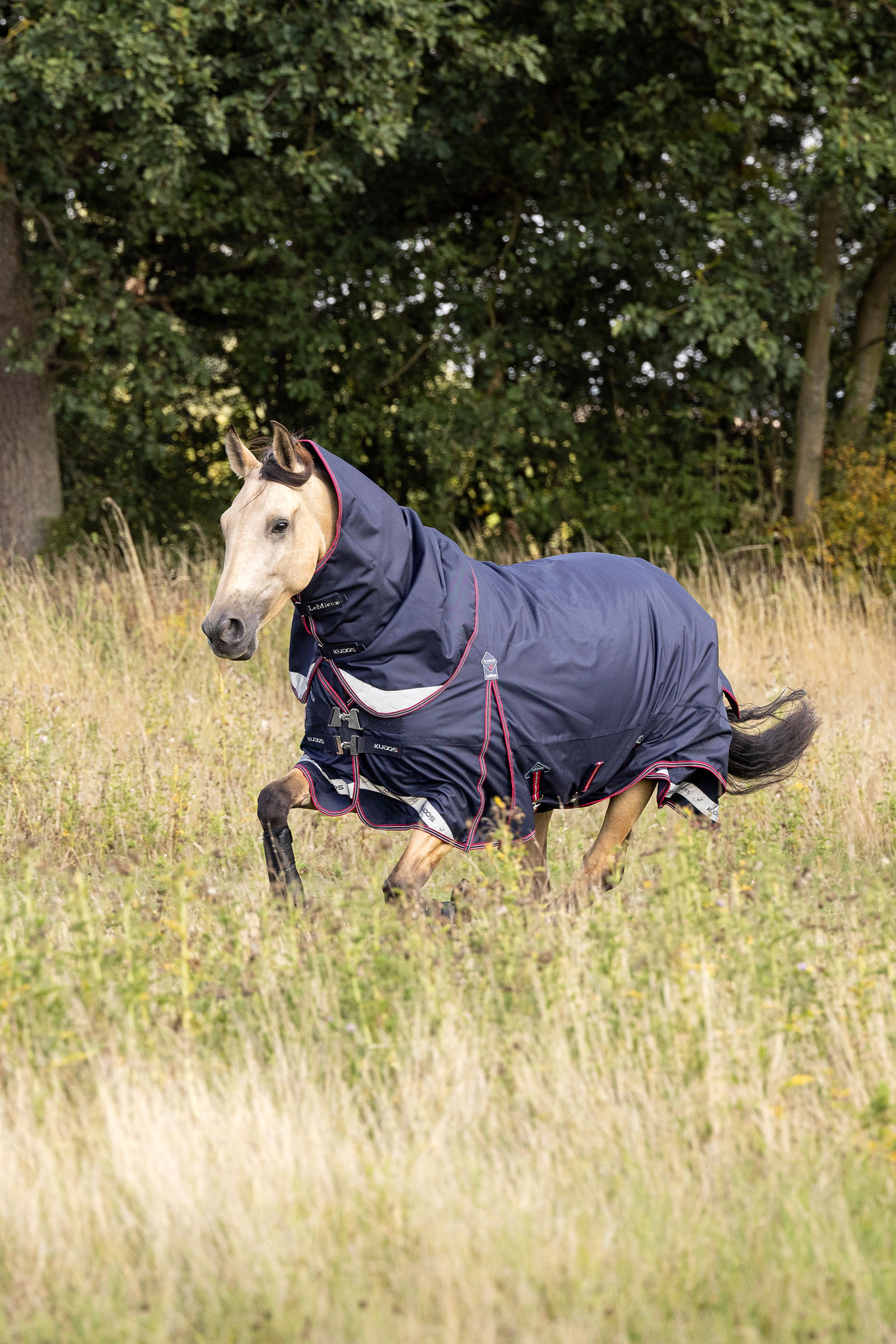 LeMieux Kudos couverture imperm&eacute;able l&eacute;g&egrave;re 100g