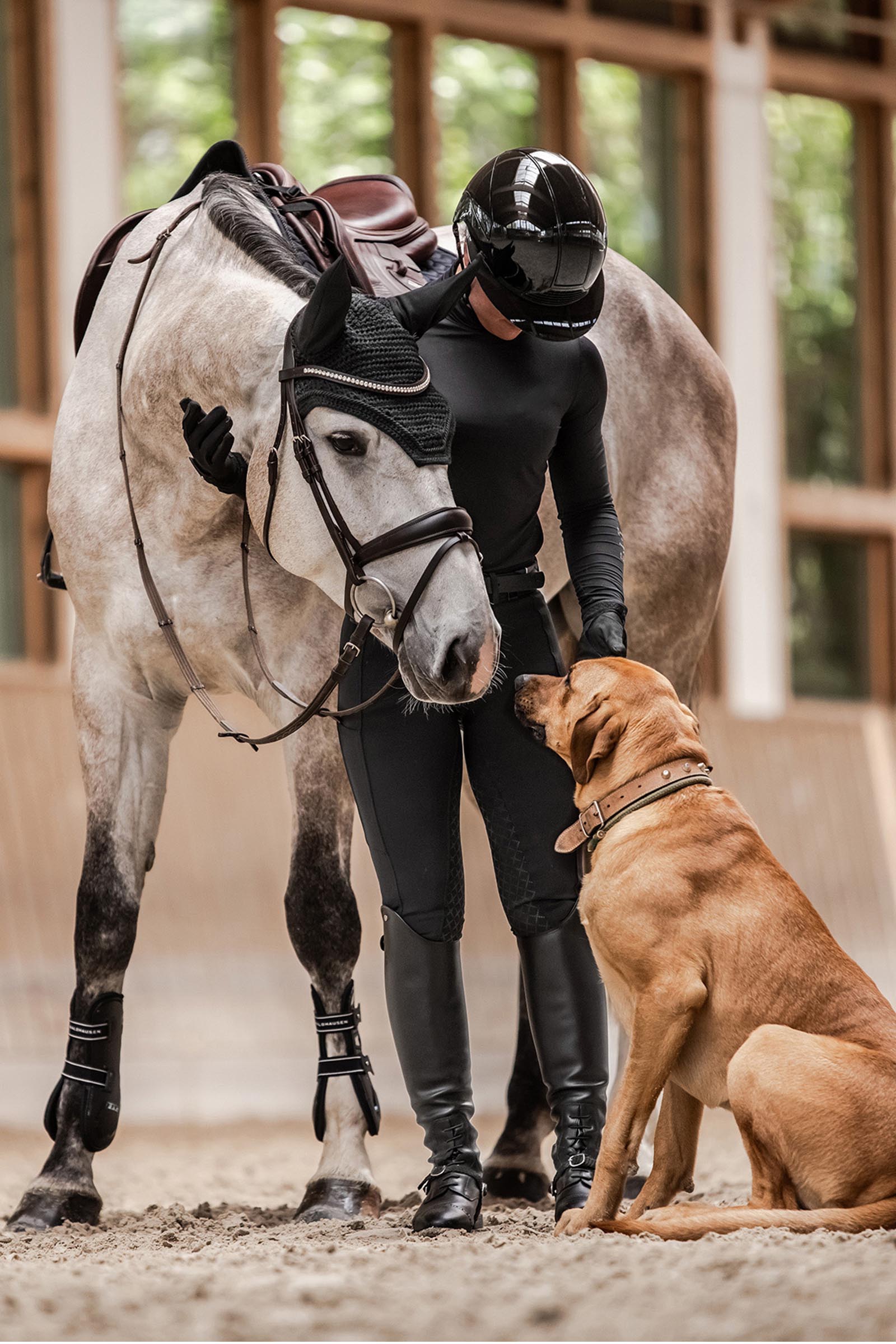 SWING H24 Lady Glossy casque d'équitation