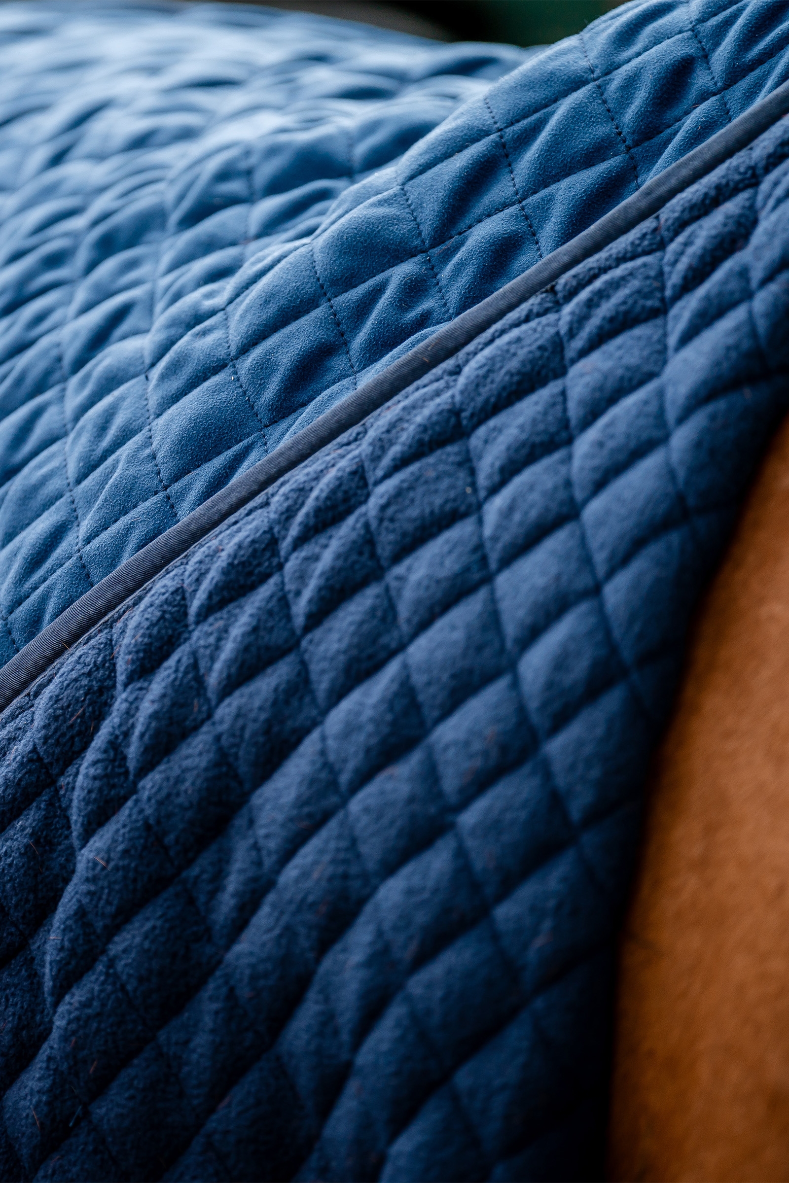 Horseware Signature Couverture de transport, 50g