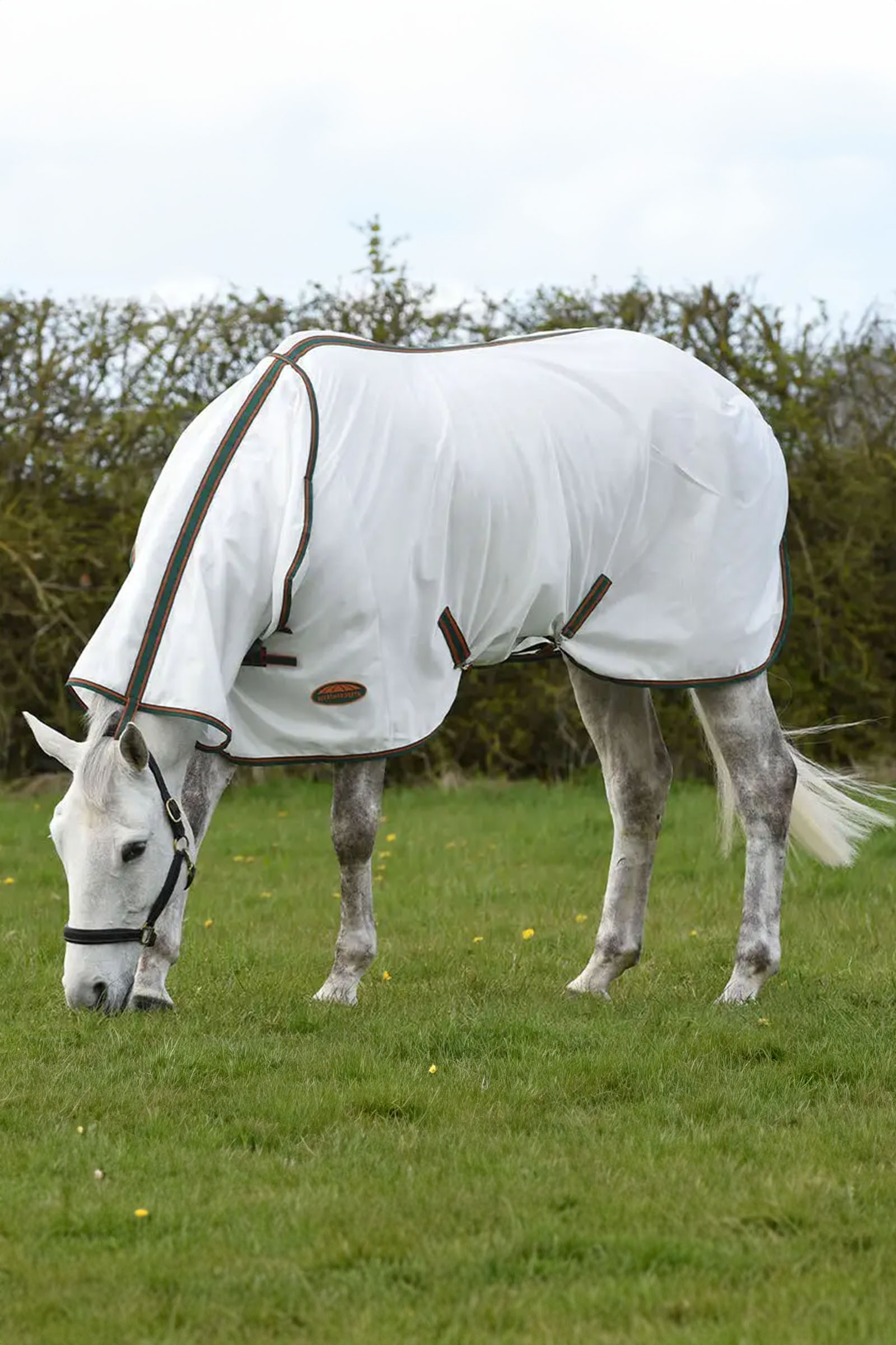 Weatherbeeta Comfitec Tyro couverture en mesh avec encolure intégrée