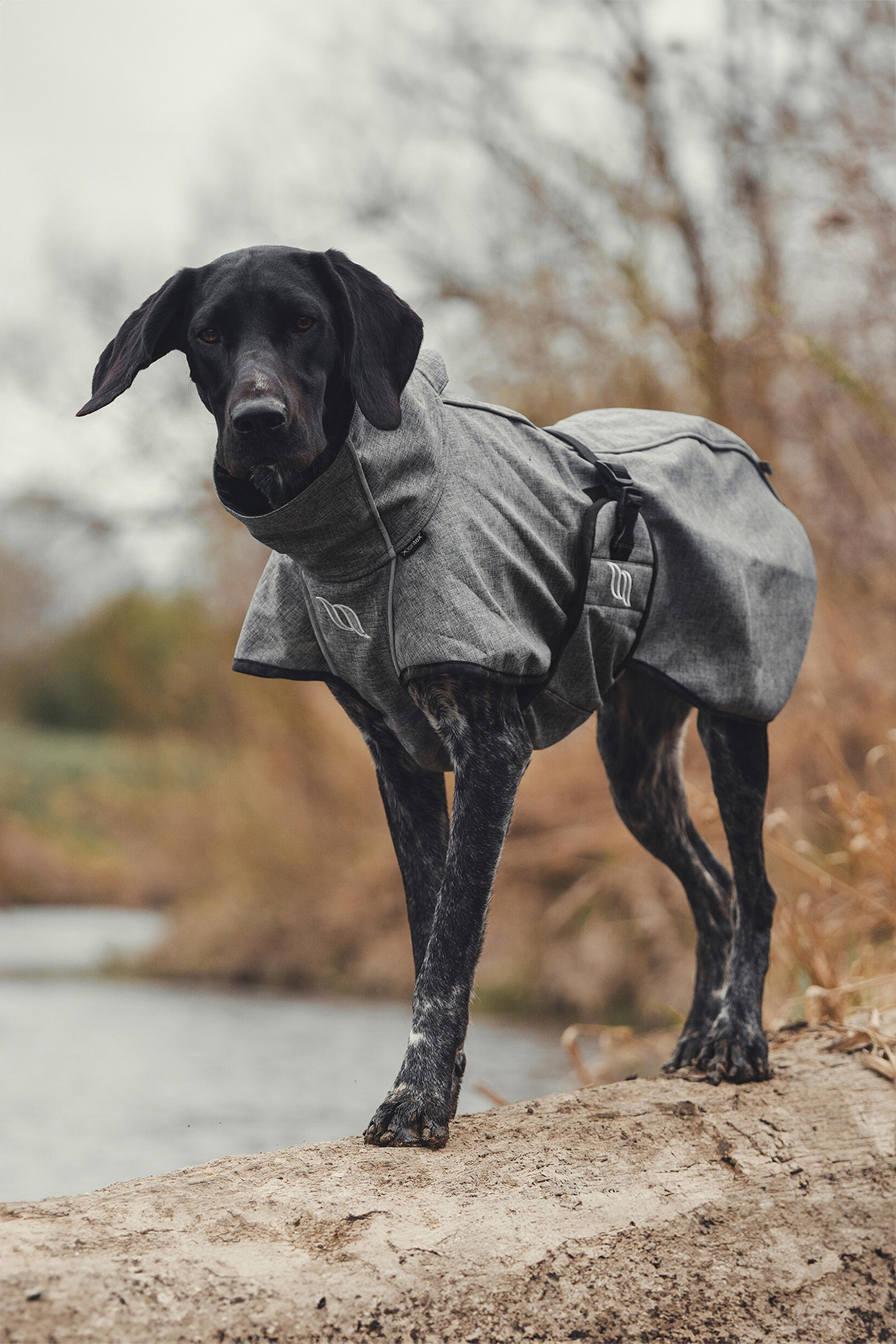 Manteau pour chien Back on Track Bark All-Round, 70-80 cm