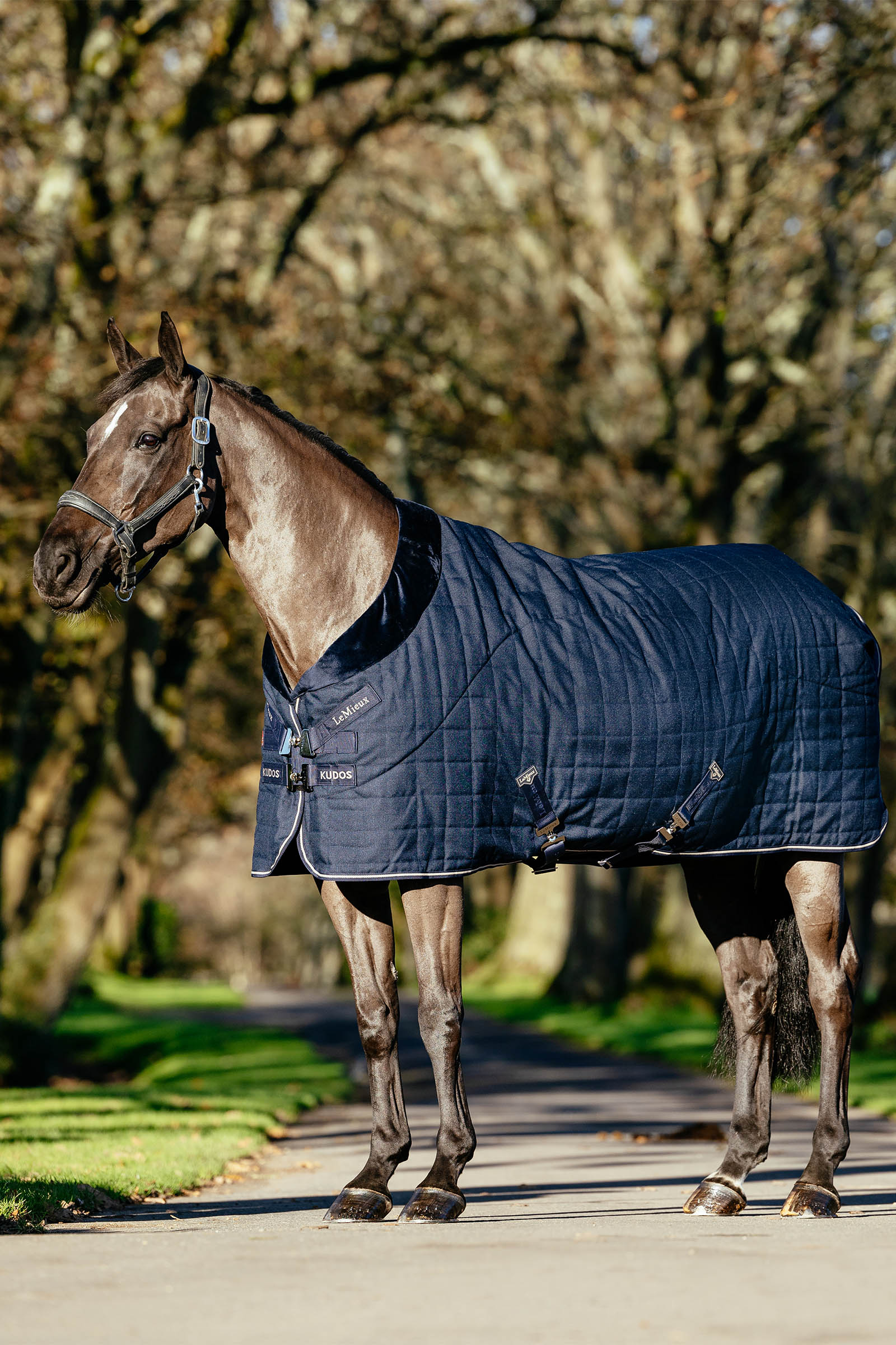 LeMieux Kudos Luxe couverture d&rsquo;&eacute;curie doubl&eacute;e, 100 g