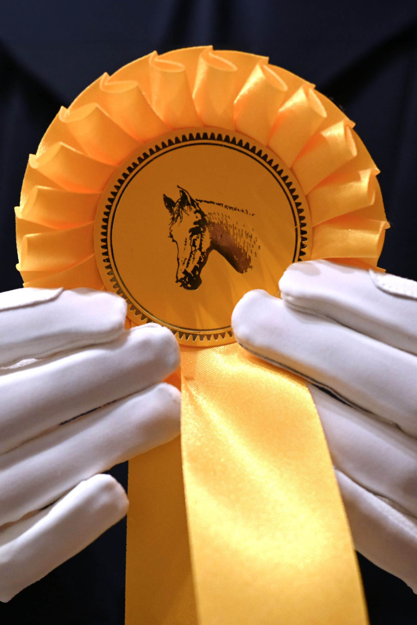 RSL Amalia gants d&rsquo;&eacute;quitation enfant