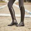 Bottes de dressage Dublin Galtymore
