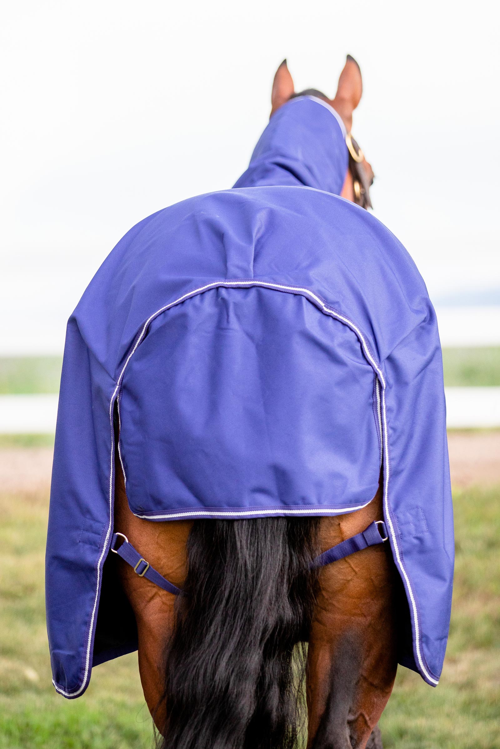 Horseware Amigo Hero 900 Plus Medium couverture imperm&eacute;able, 200g