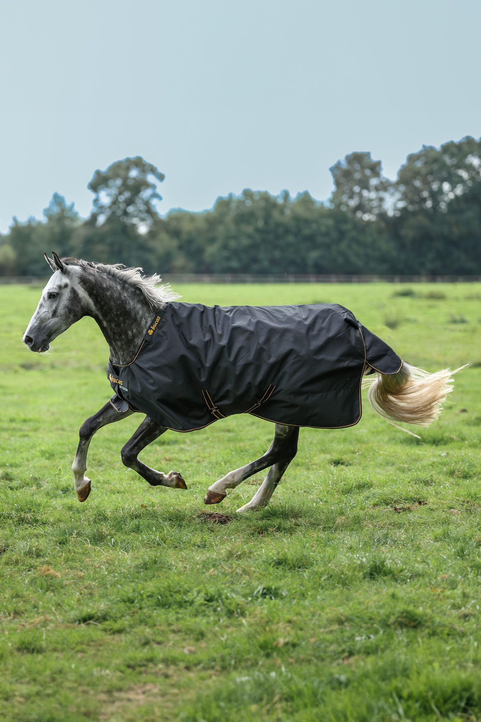 Bucas Irish Pony couverture d'extérieur, 50g