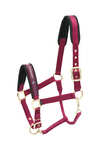 Kieffer Collection Nylon Headcollar