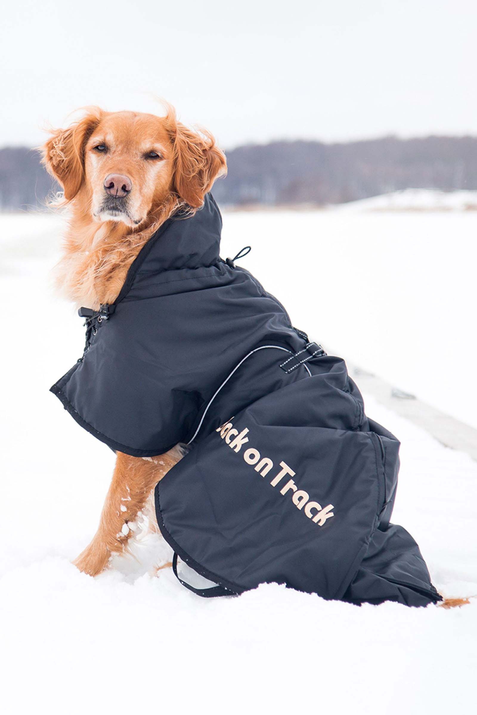 Back on Track, couverture pour chien (size 21-40)