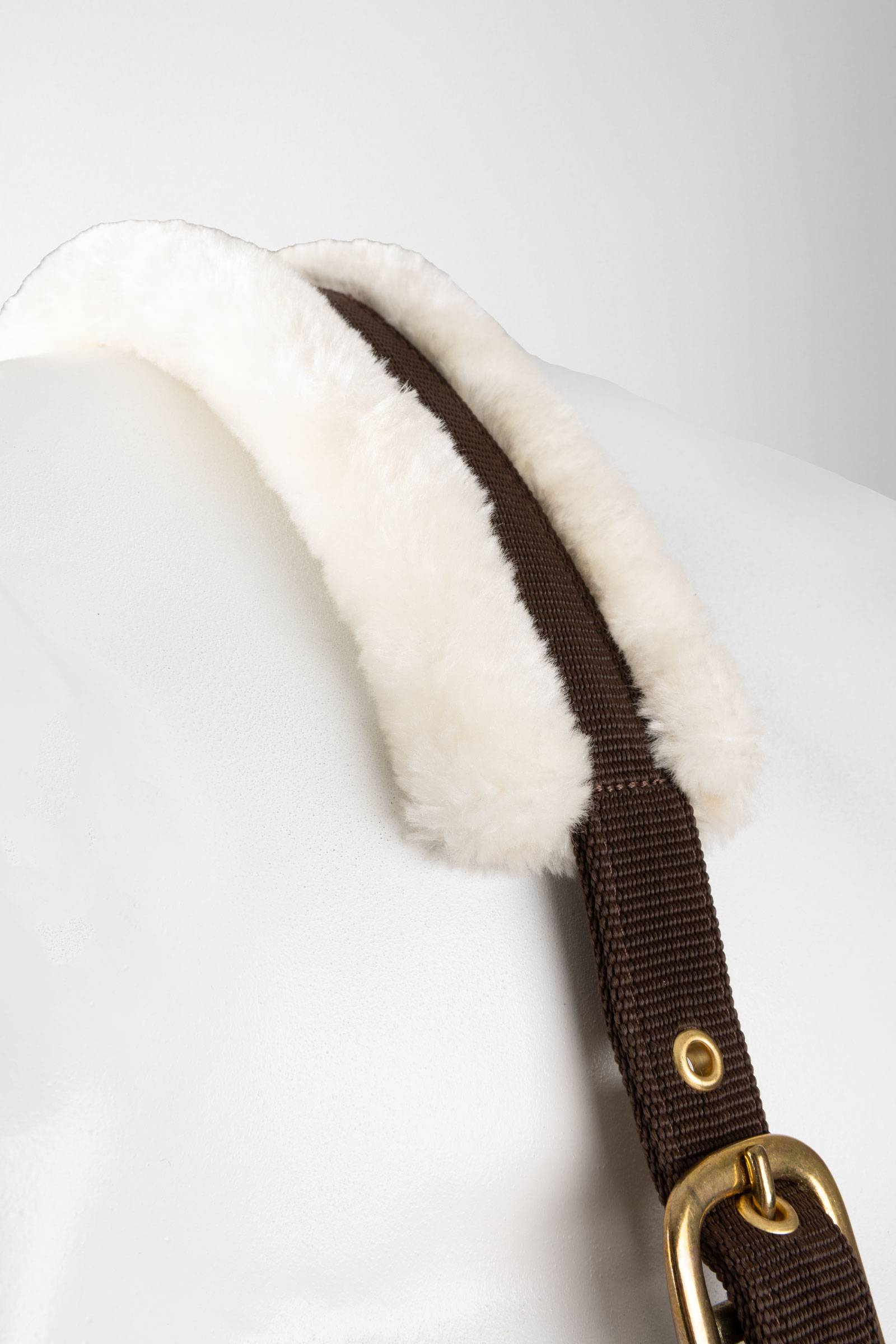 Horze licol et longe ensemble