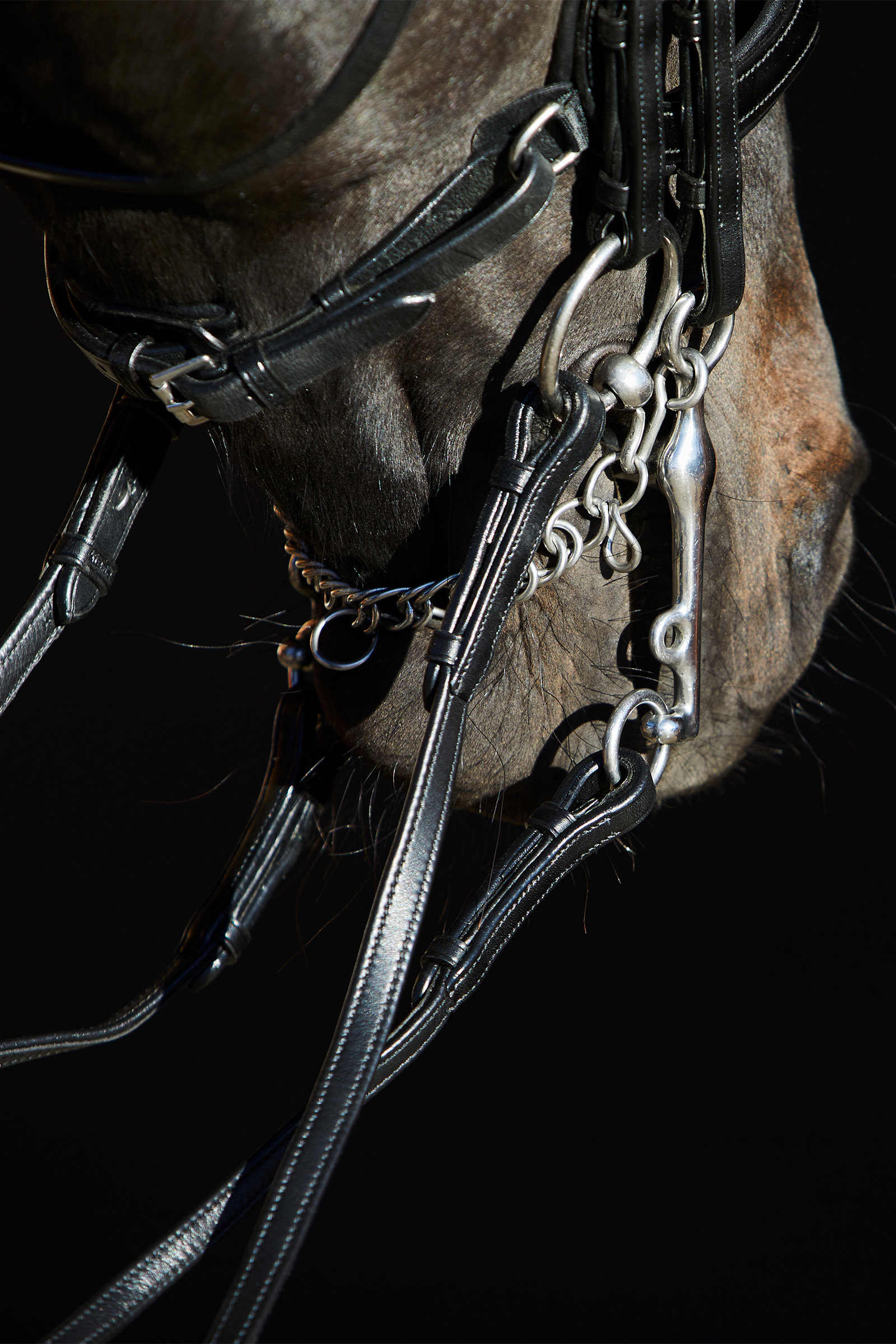 Kieffer Ultrasoft&reg; Amy Double Bridle