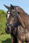 Filet de dressage LeMieux Arika Drop
