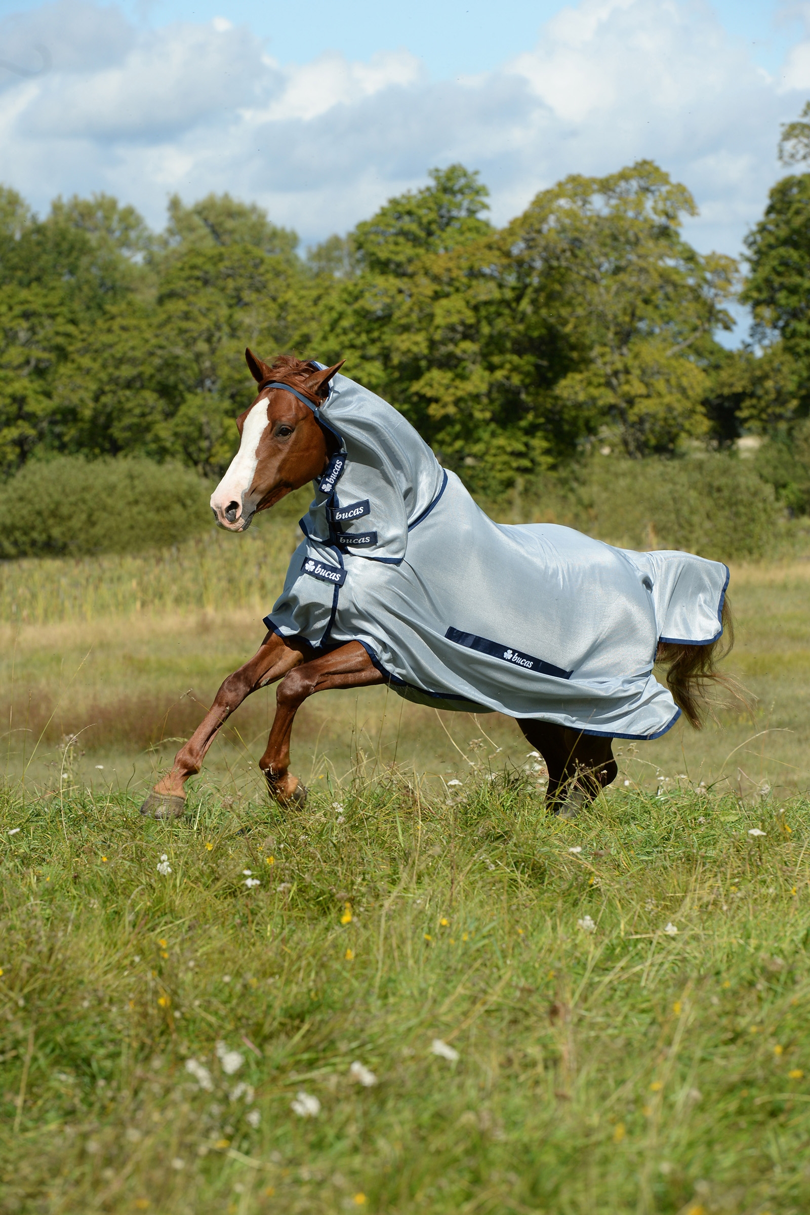 Couverture poney intégrale Buzz-Off