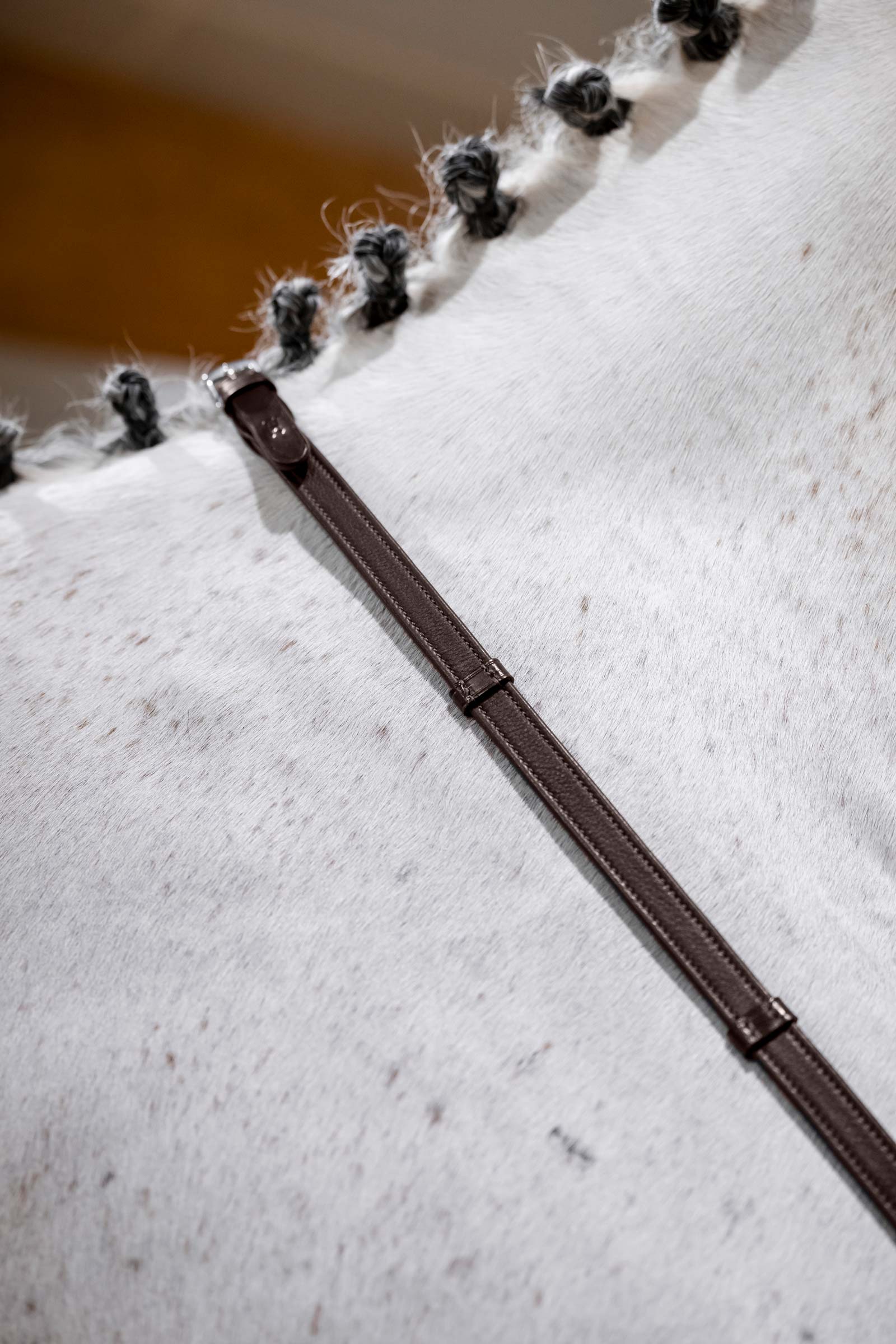 Brown Horseware r&ecirc;nes de saut avec but&eacute;es