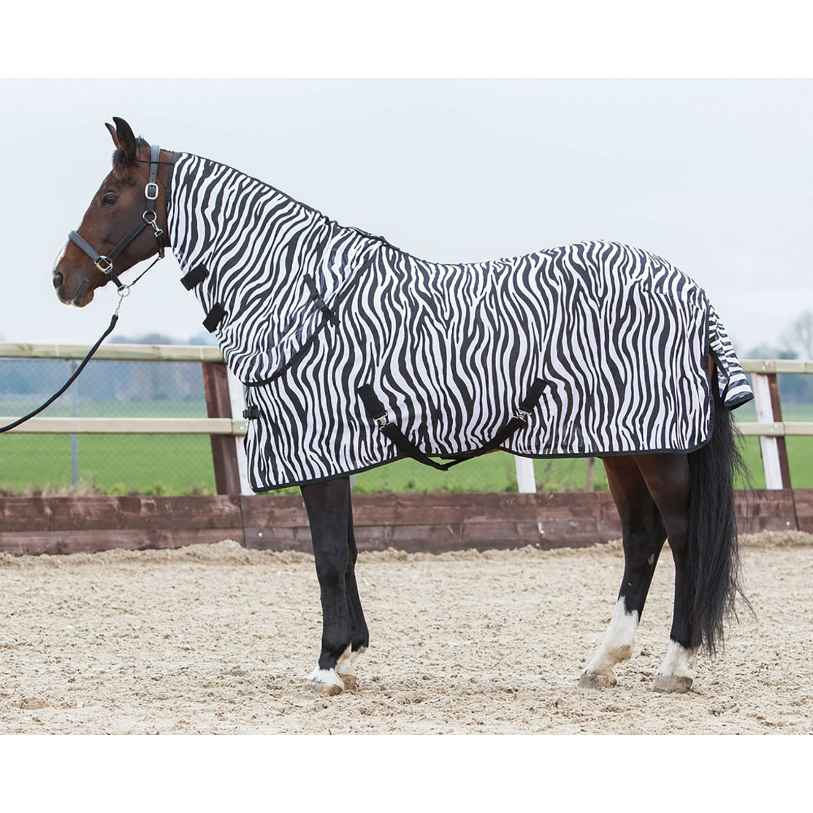 Harry's Horse Flysheet with neck