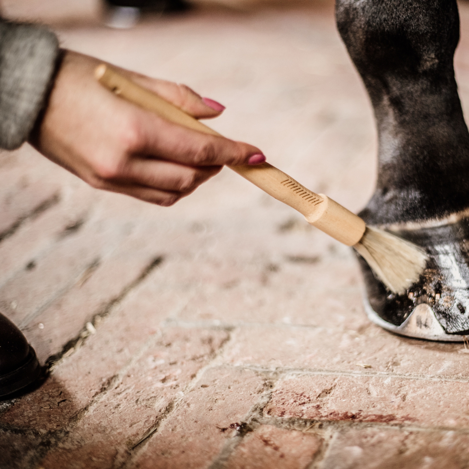 Grooming Deluxe Pinceau à sabots