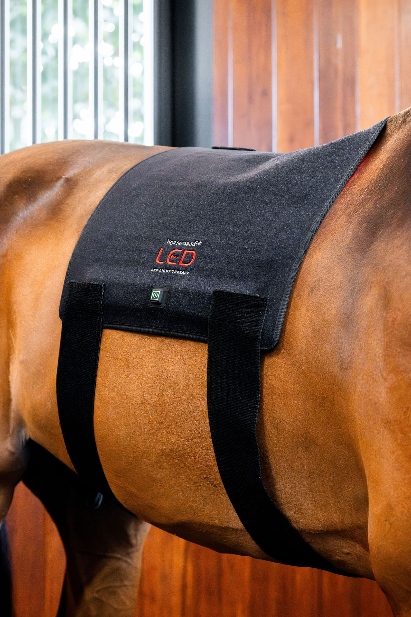 Horseware Pad th&eacute;rapeutique LED &agrave; lumi&egrave;re rouge