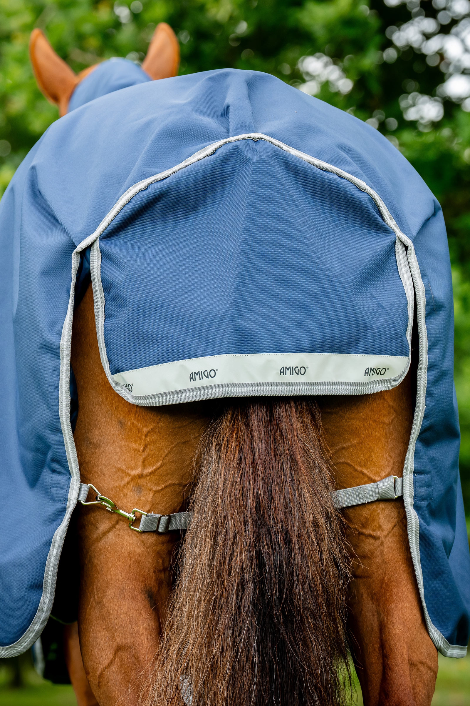 Horseware Amigo 1200D Plus couverture d’extérieur, 250 g