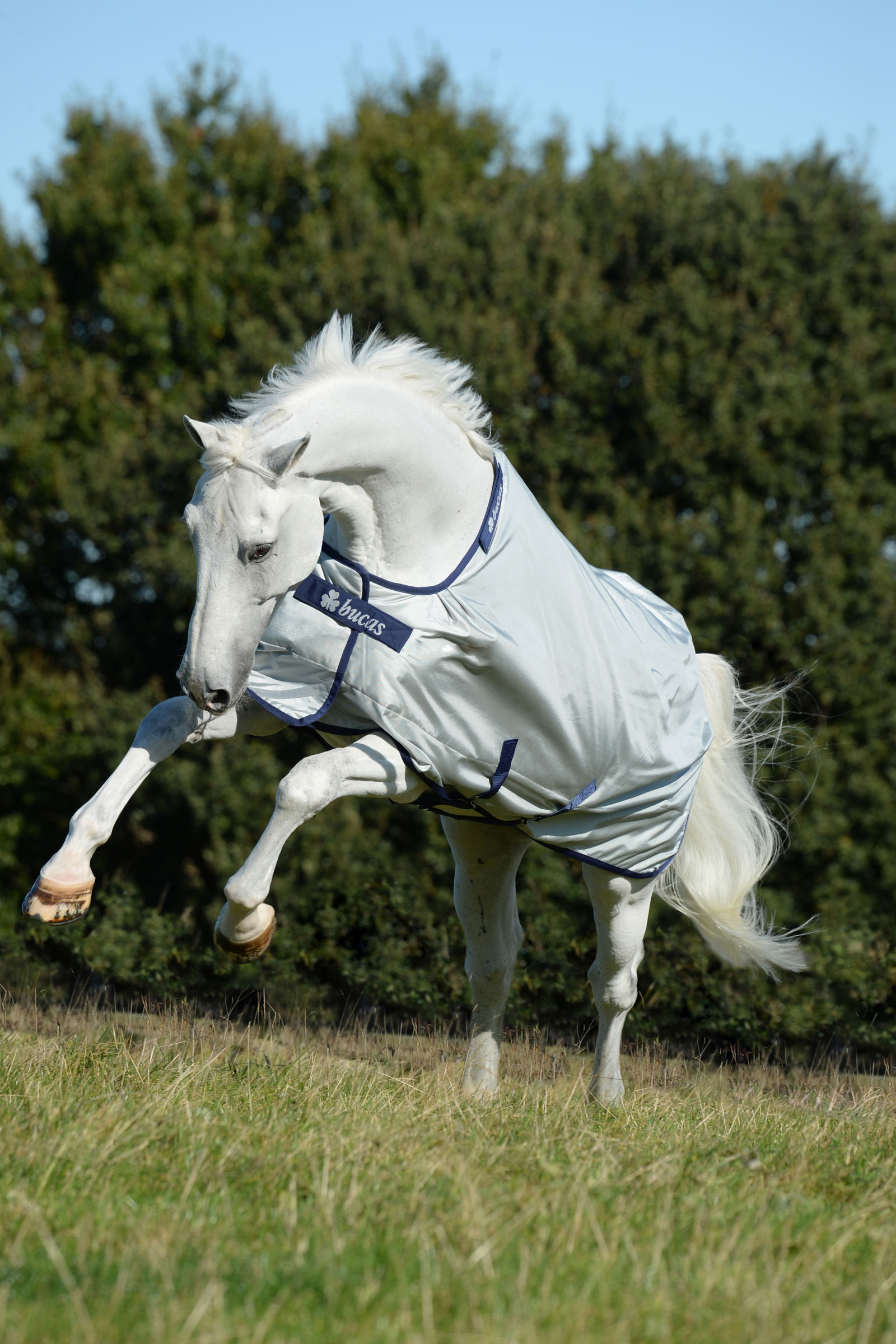 Bucas Power couverture d'ext&eacute;rieur l&eacute;g&egrave;re, 0g