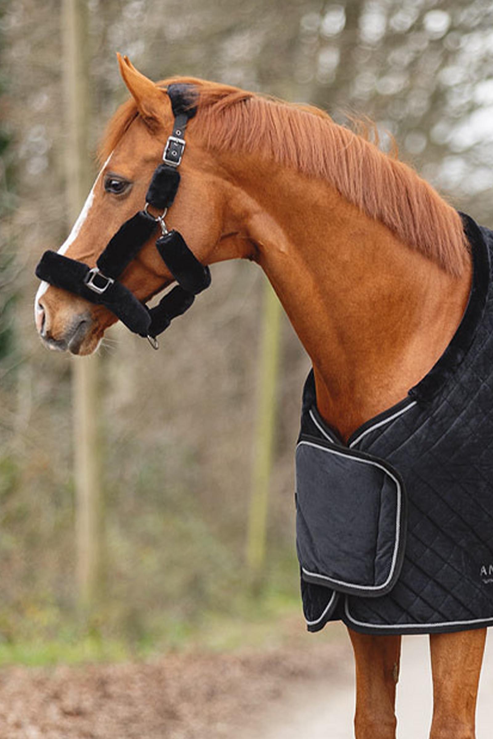 ANKY Victory Couverture de pr&eacute;sentation, 200 g