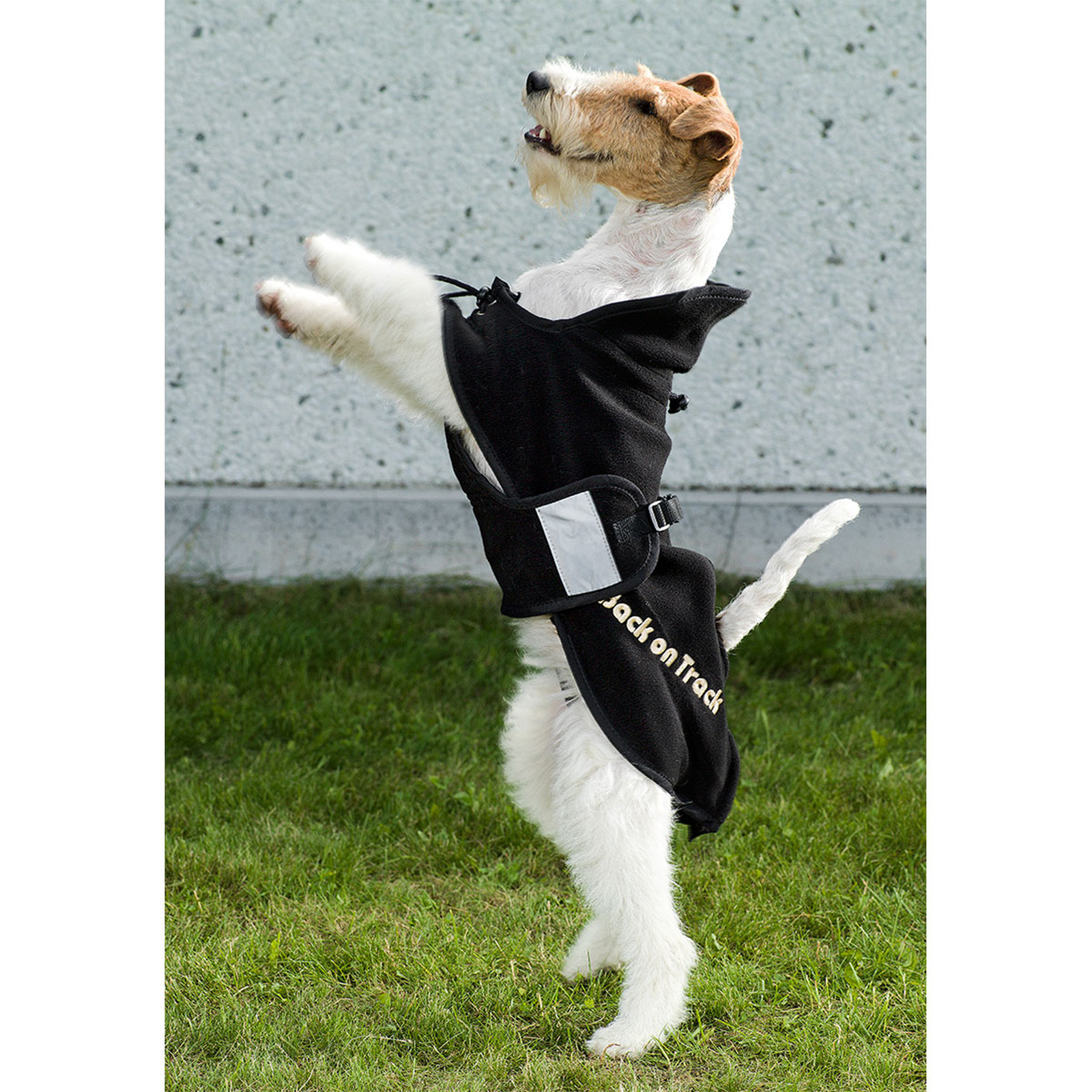 Couverture polaire pour chien Back on Track, 21-34