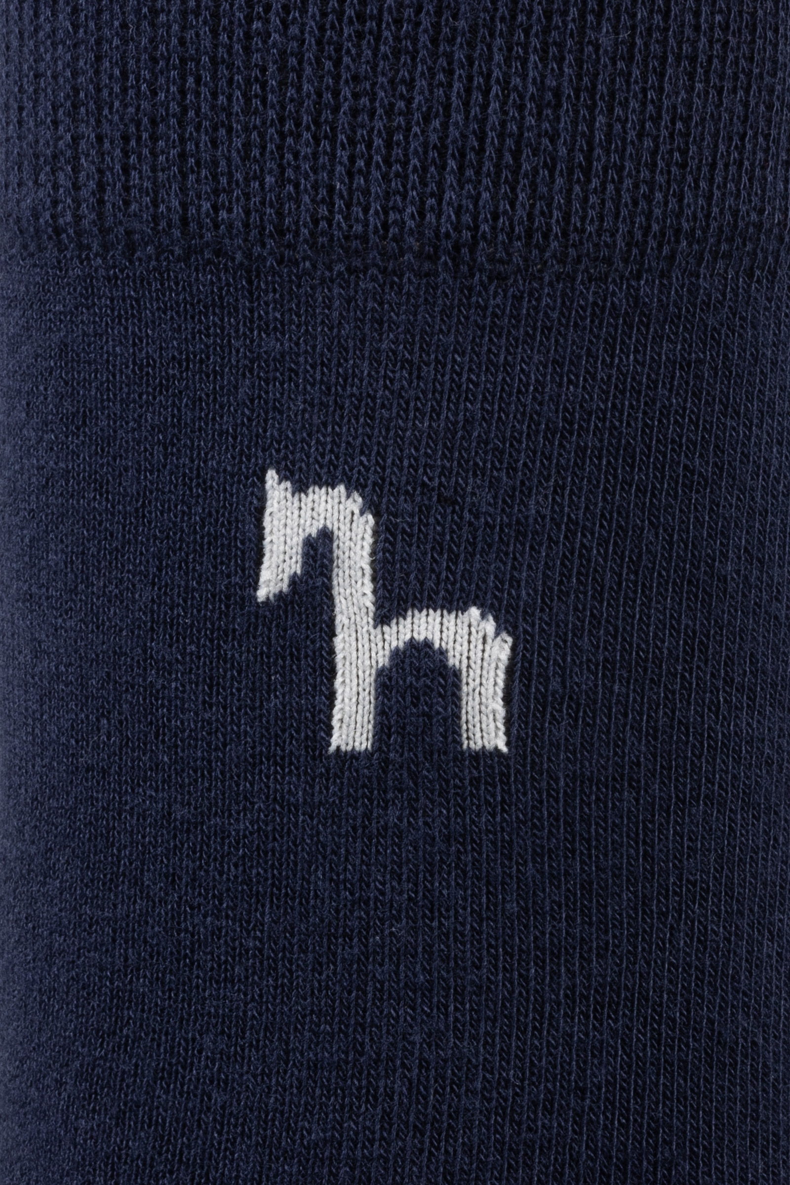 Chaussettes de cavalier Horze Coolmax