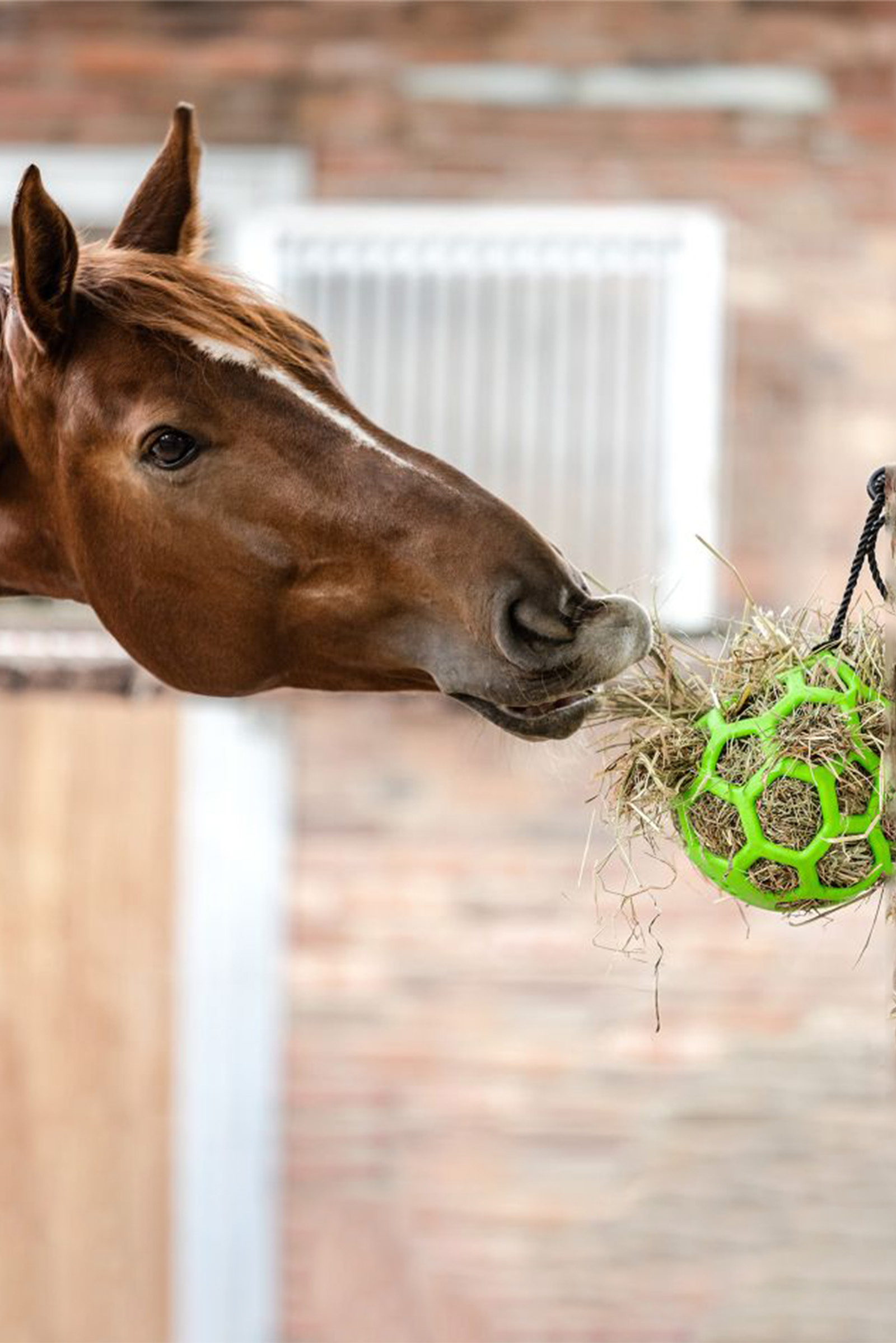 Waldhausen balle &agrave; foin