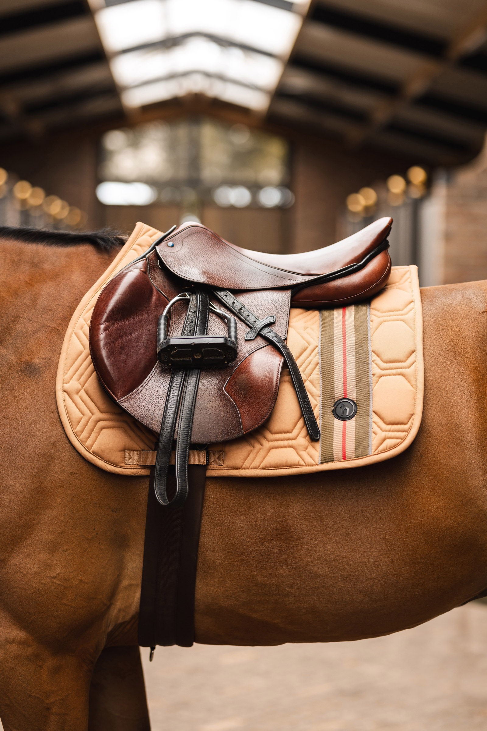 Tapis de selle de saut d'obstacles Horze High Life